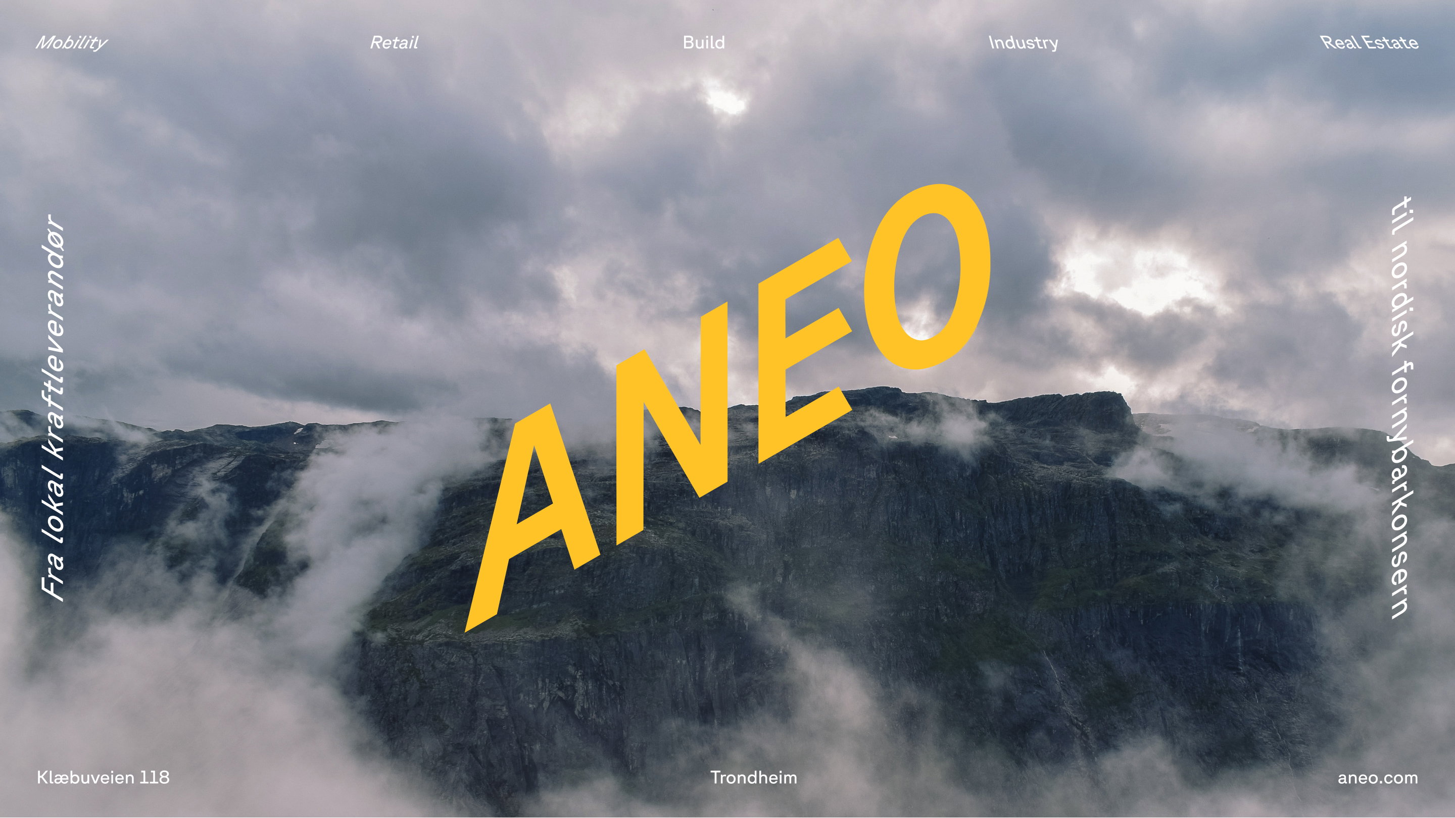 Aneo cover