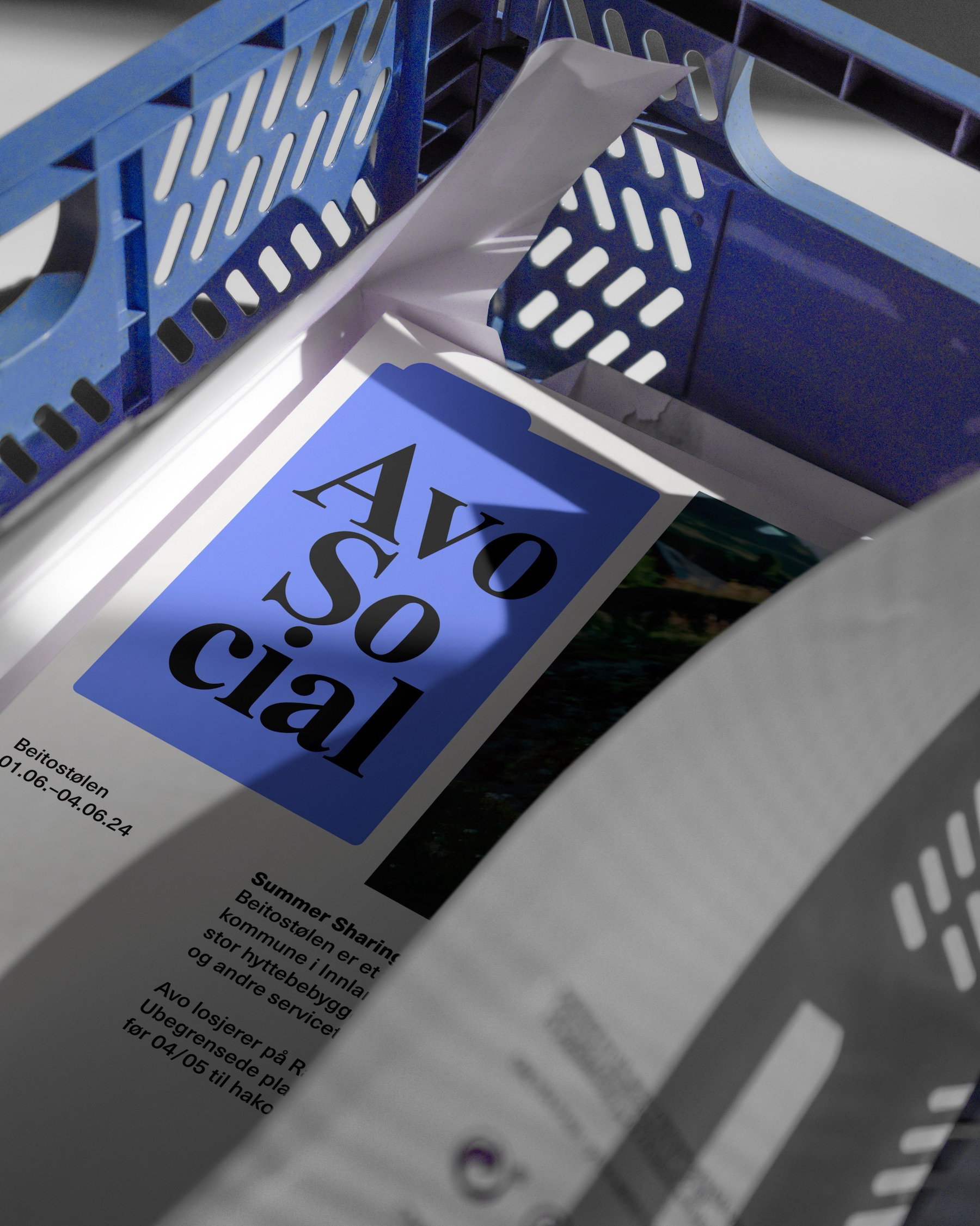 Avo 05 D
