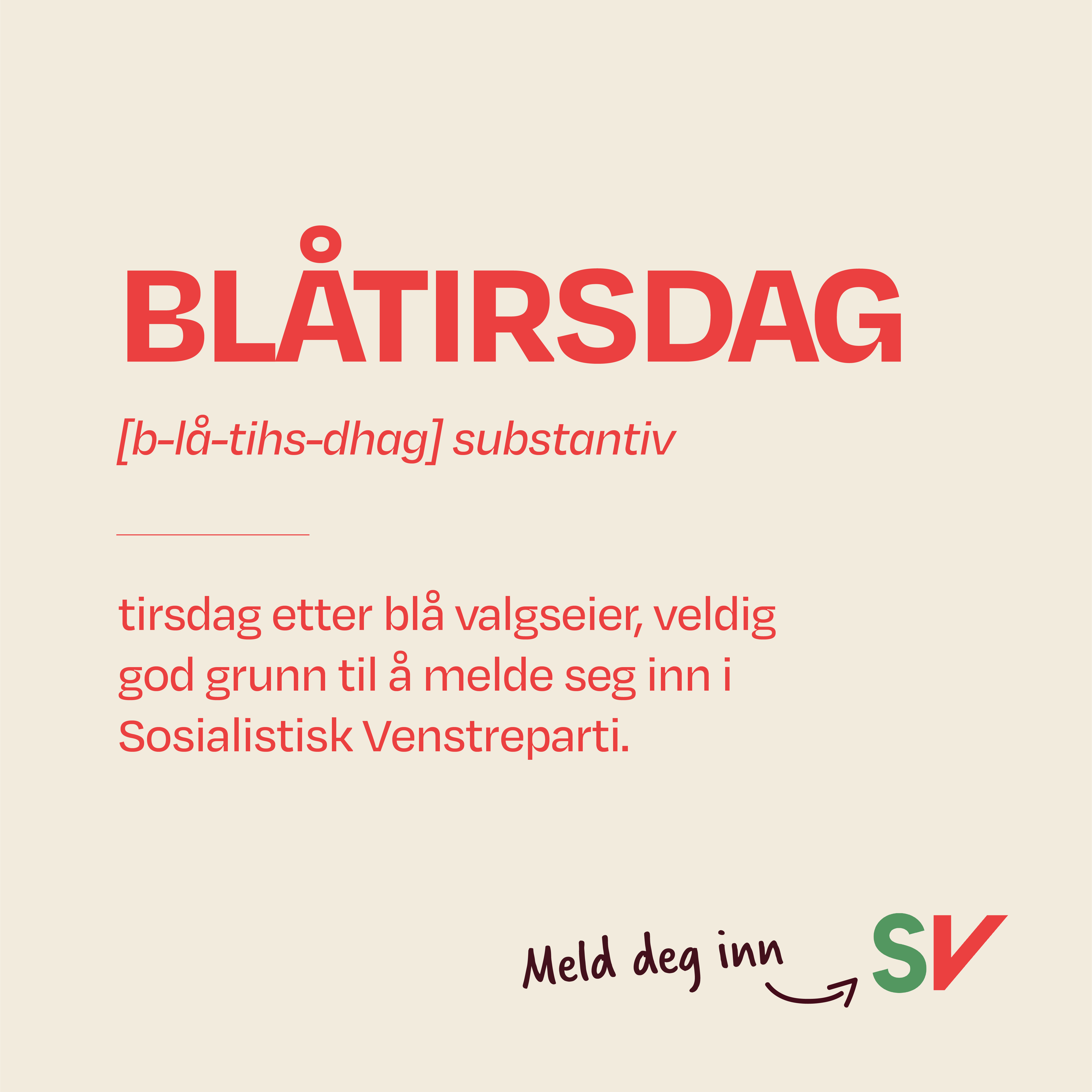 Bilde 11