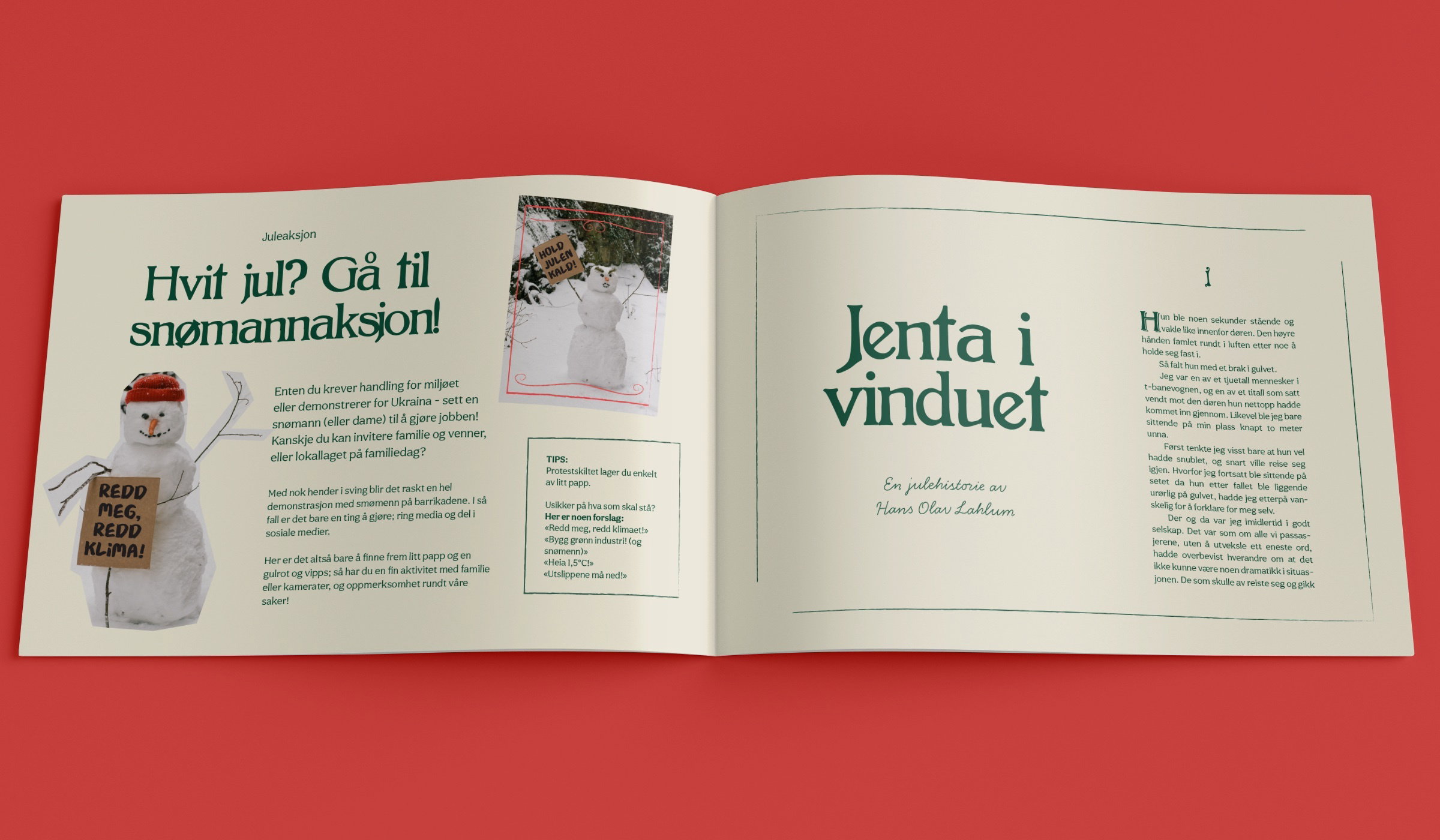 Bilde 4