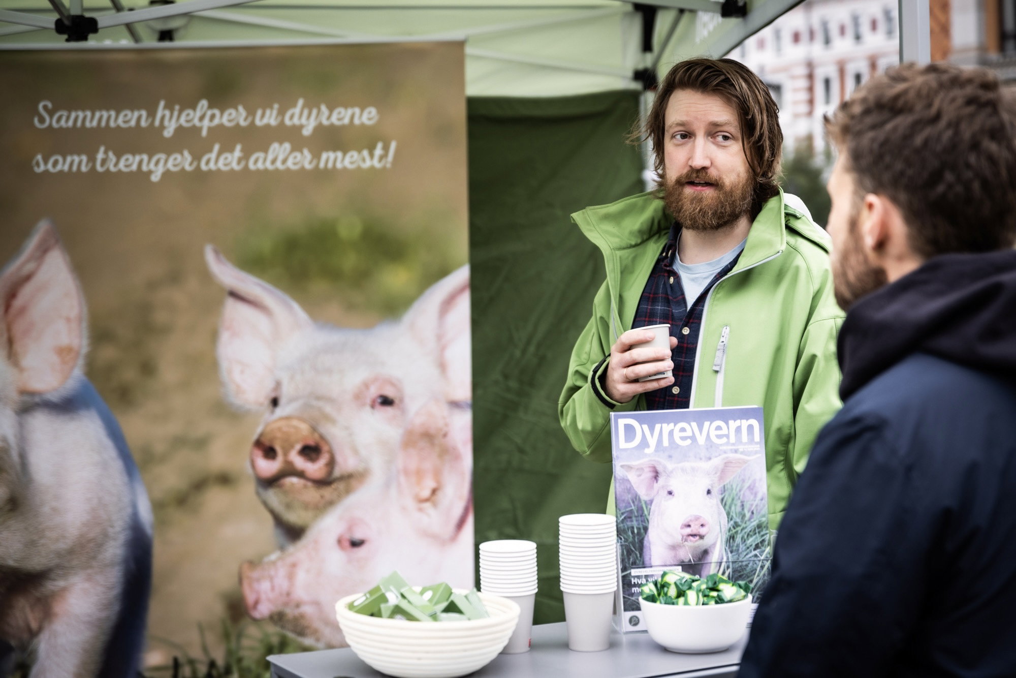 Bilde av stand nærme