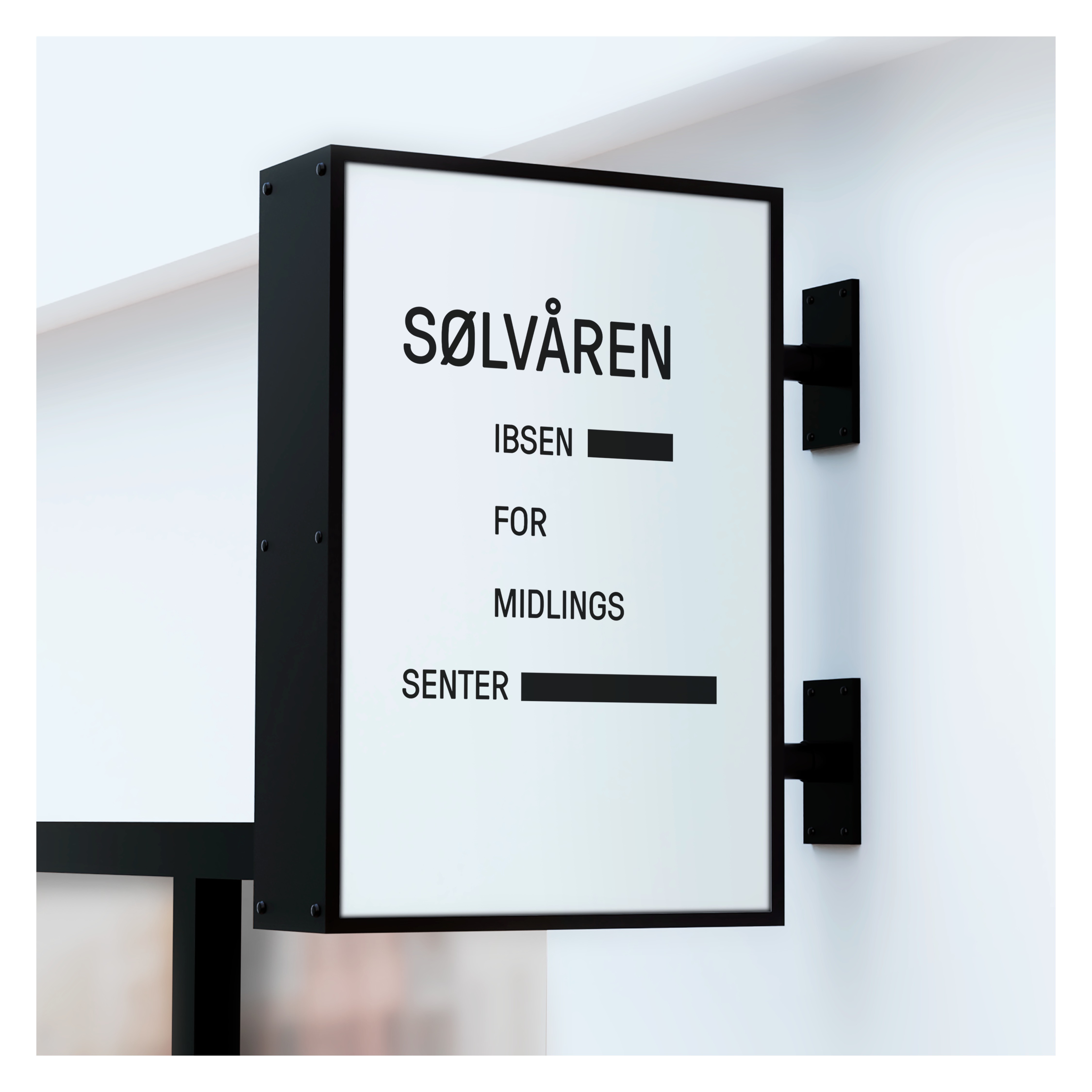 Bilde 11 Sølvåren