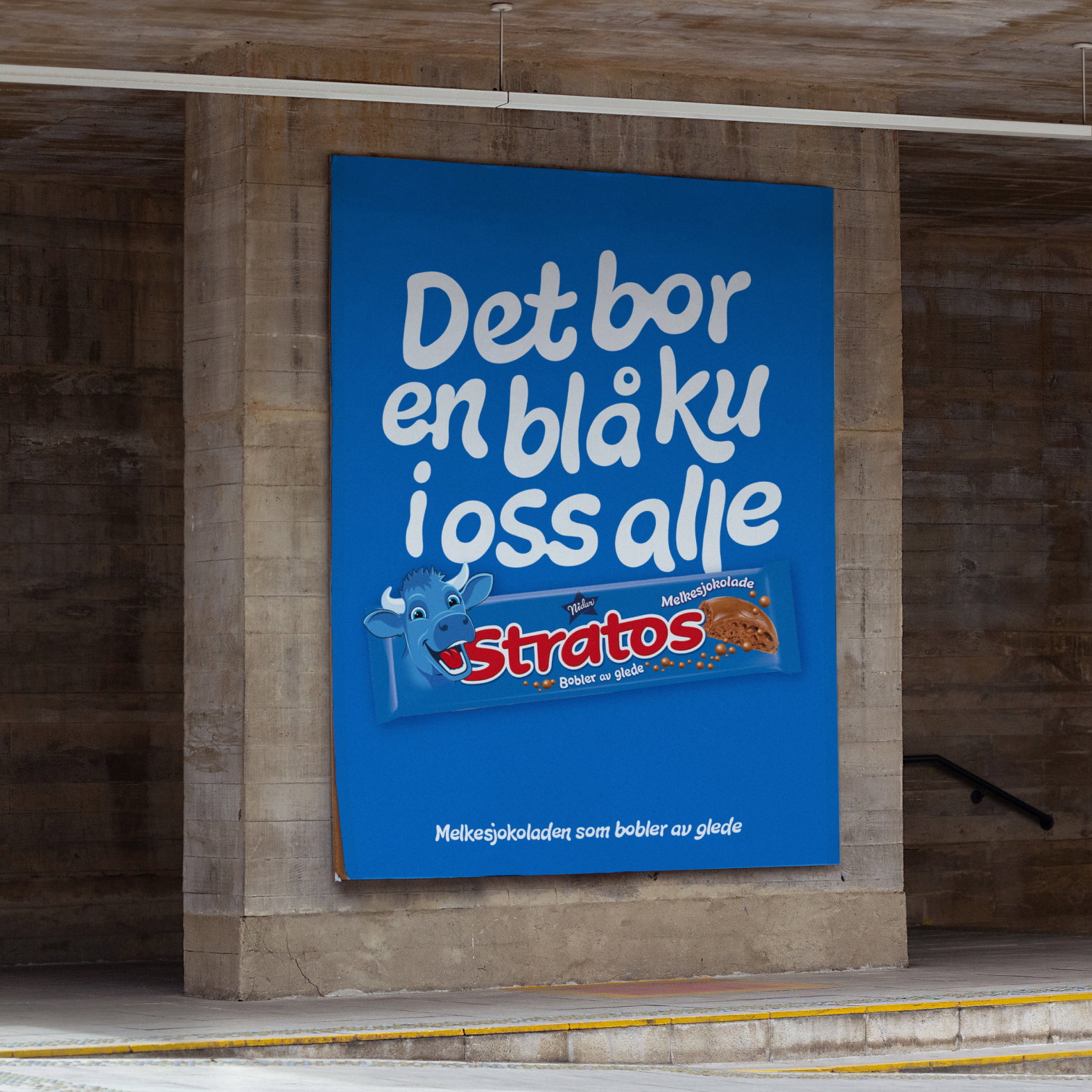 Bilde 5
