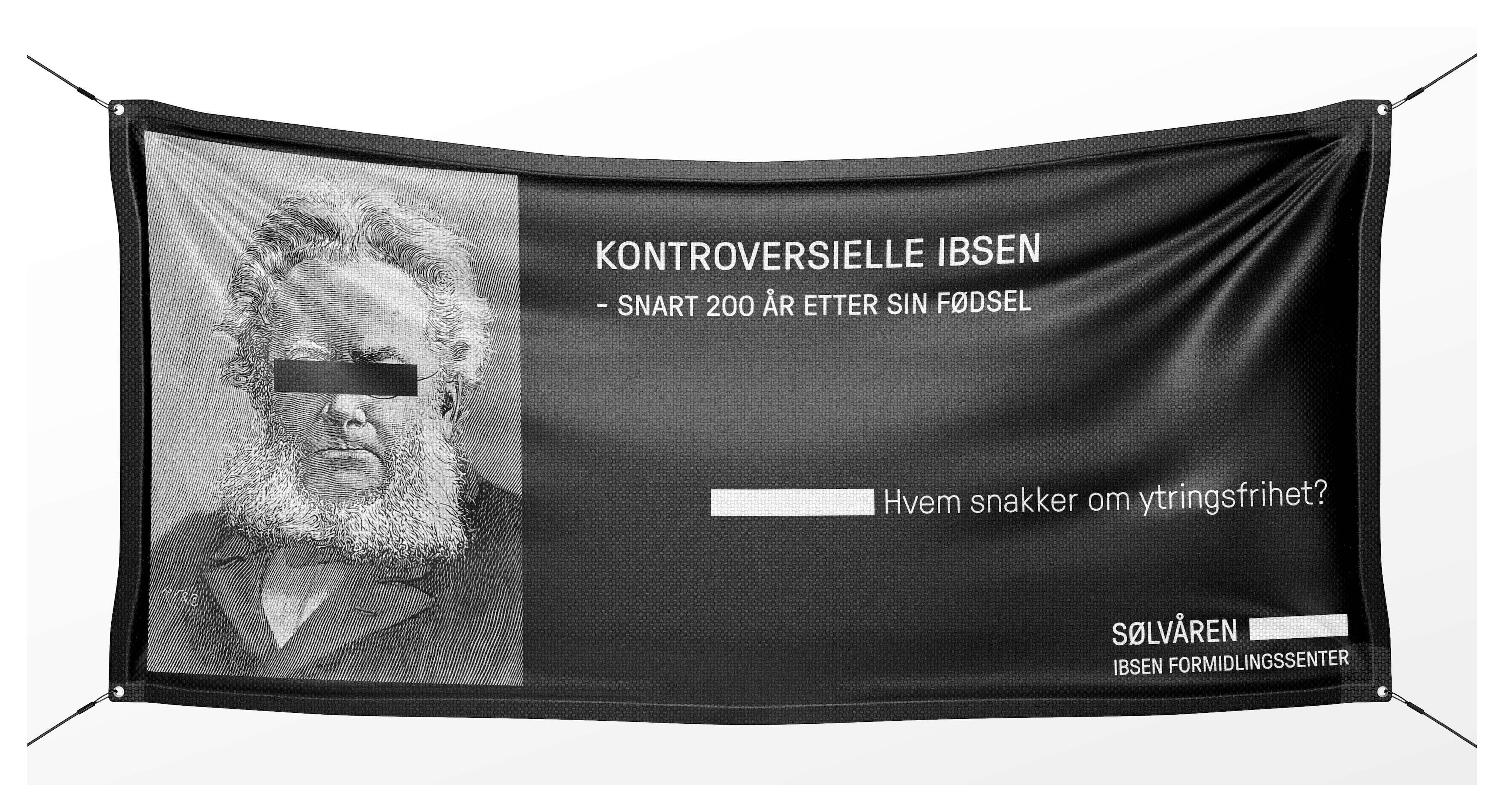 Bilde 8 Sølvåren