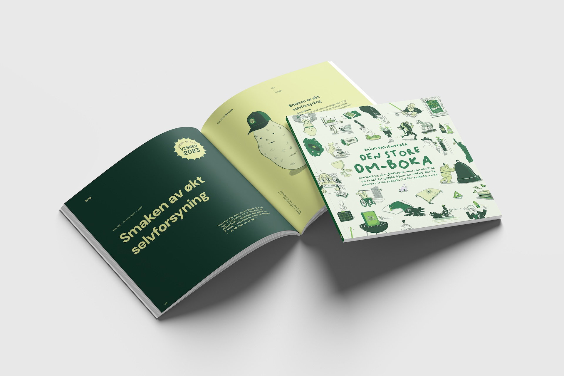DM Boka Mockup 1 gra