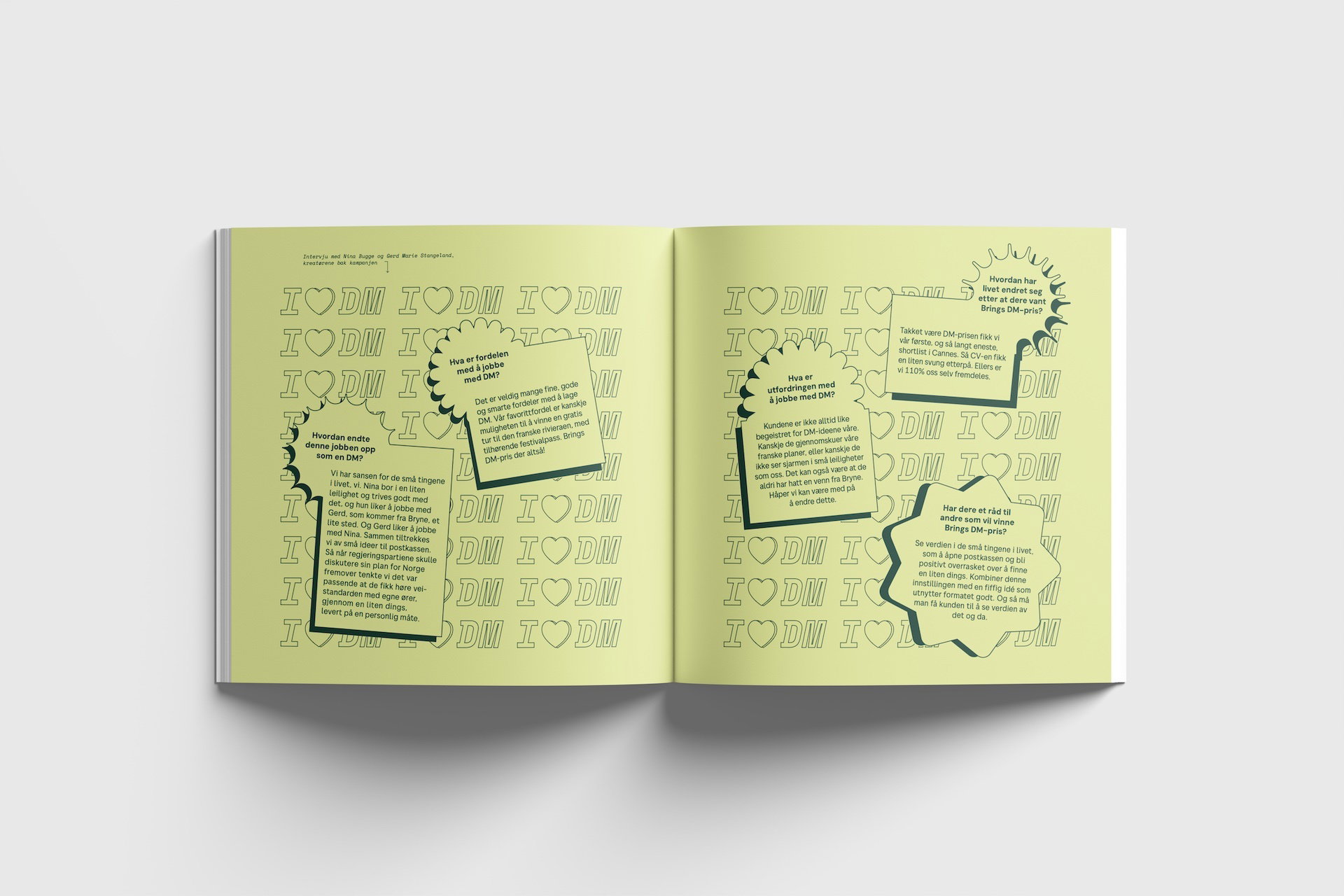 DM Boka Mockup 4 gra