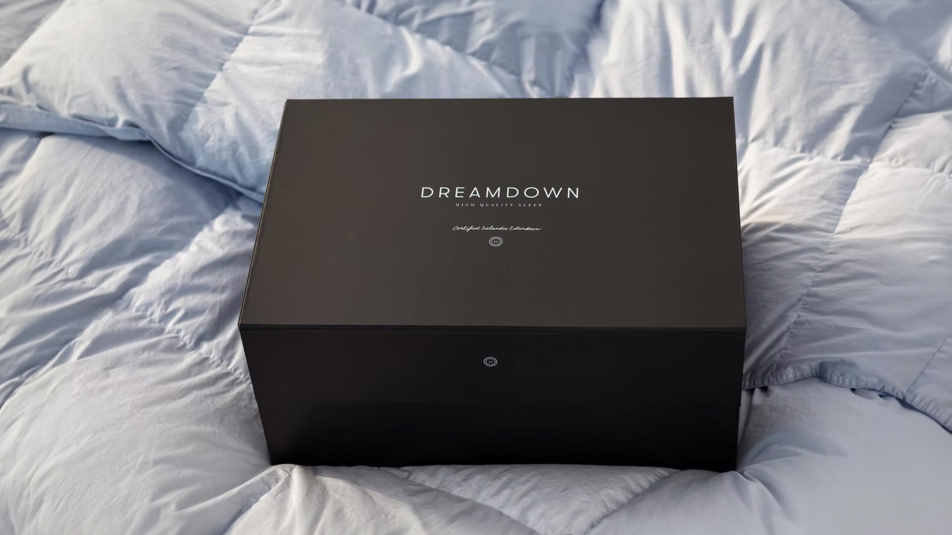 Dreamdown 06