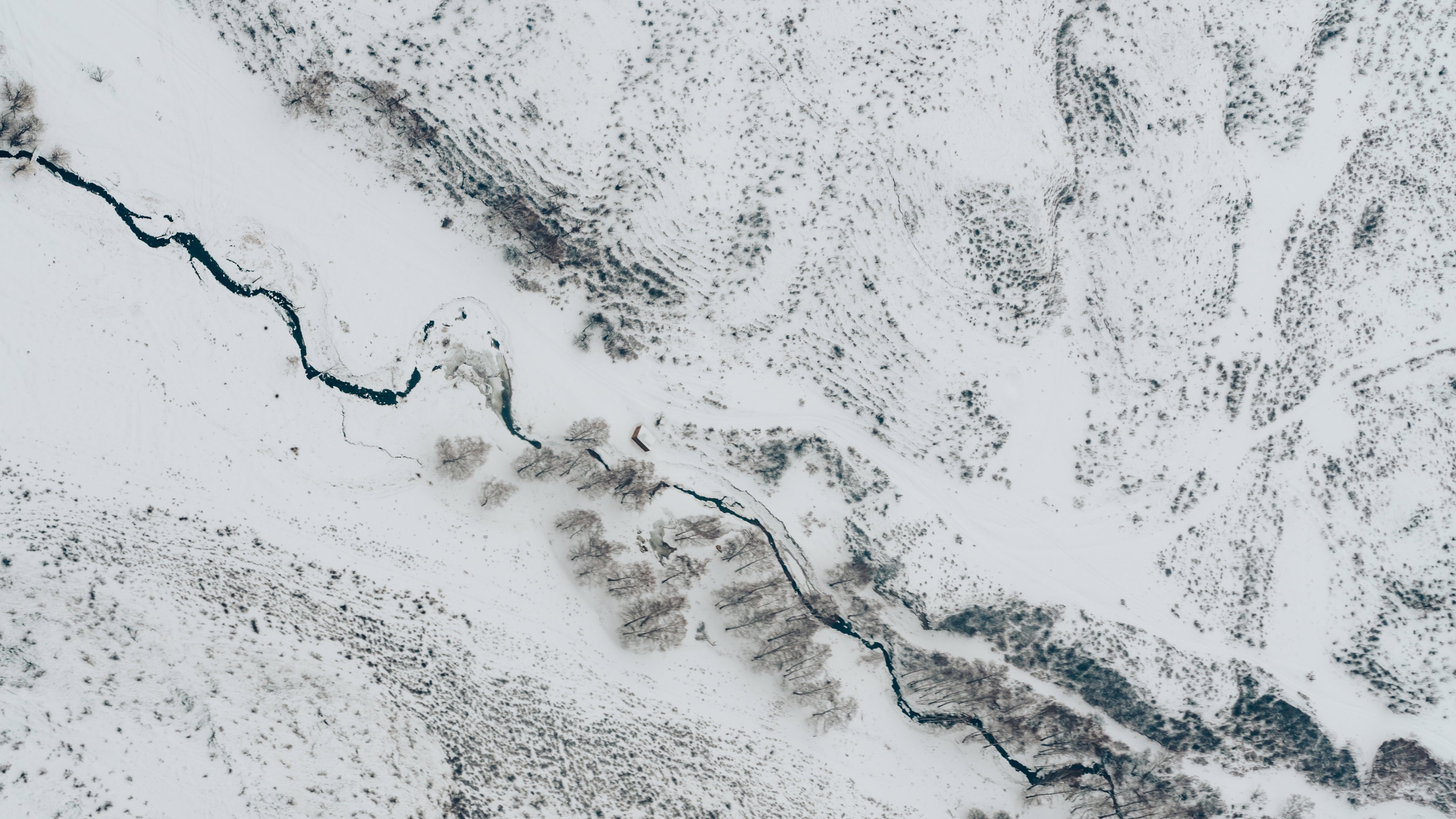 Faun Aerial