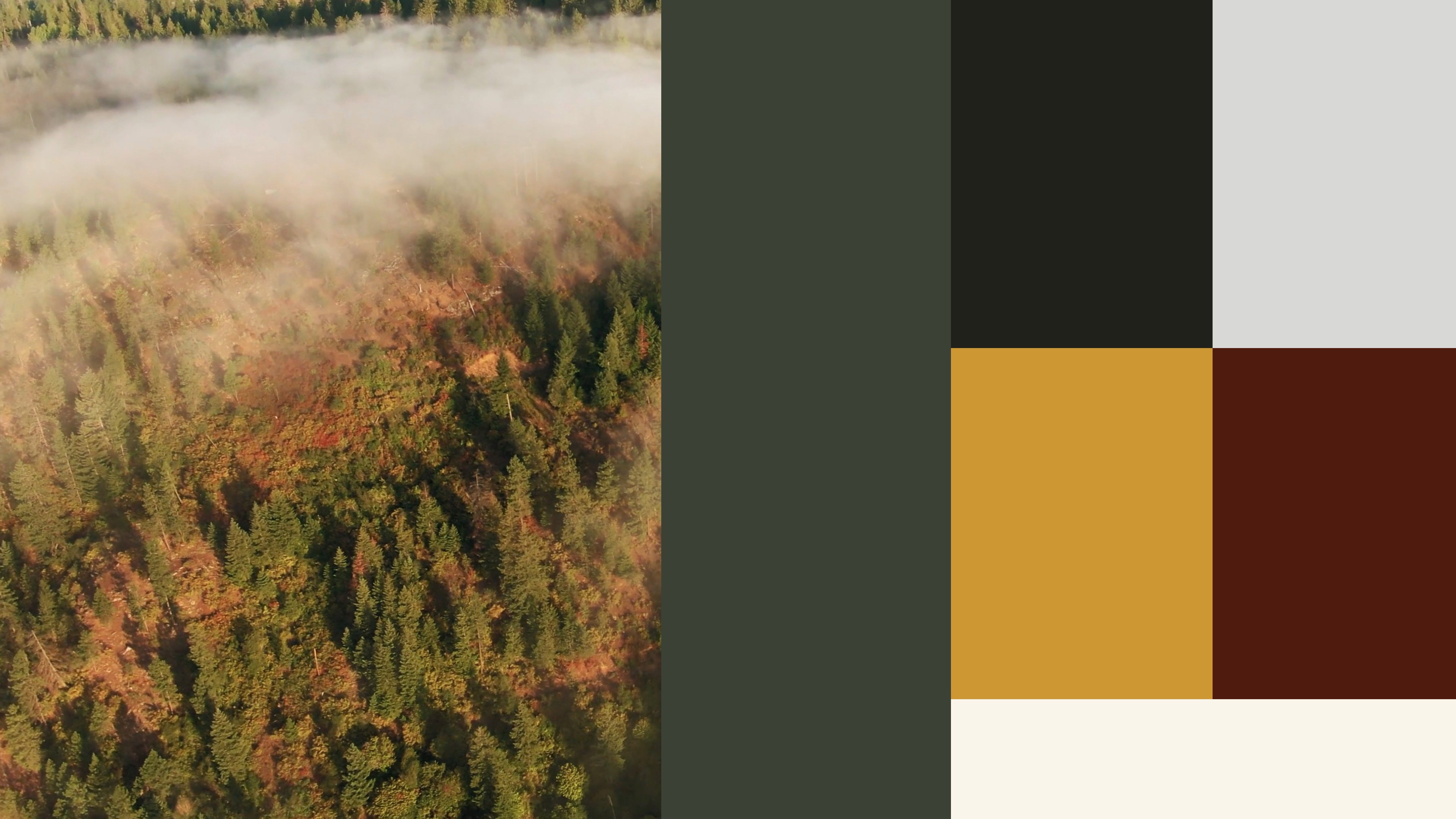 Faun Colors