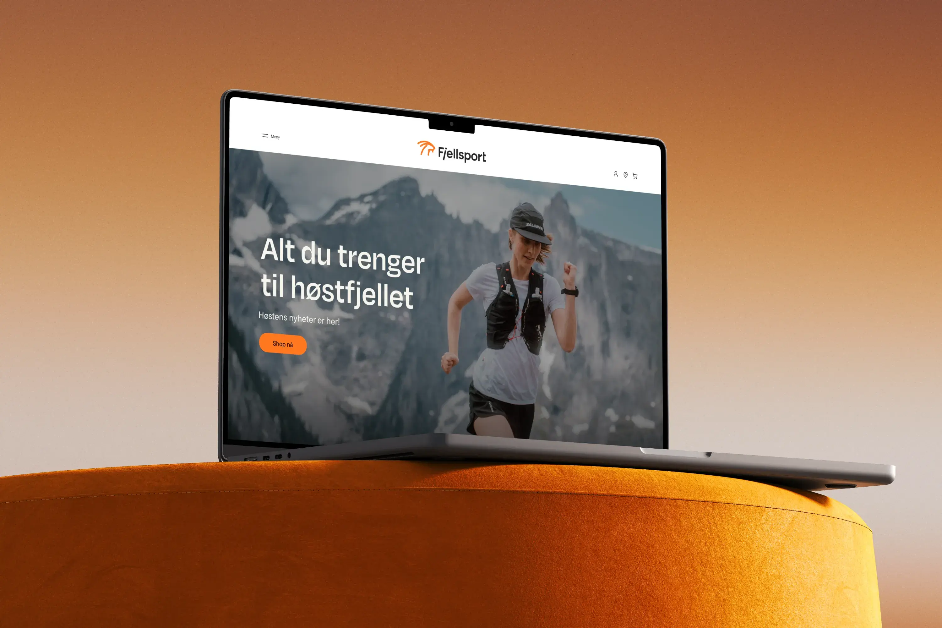 Fjellsport skisser frontend