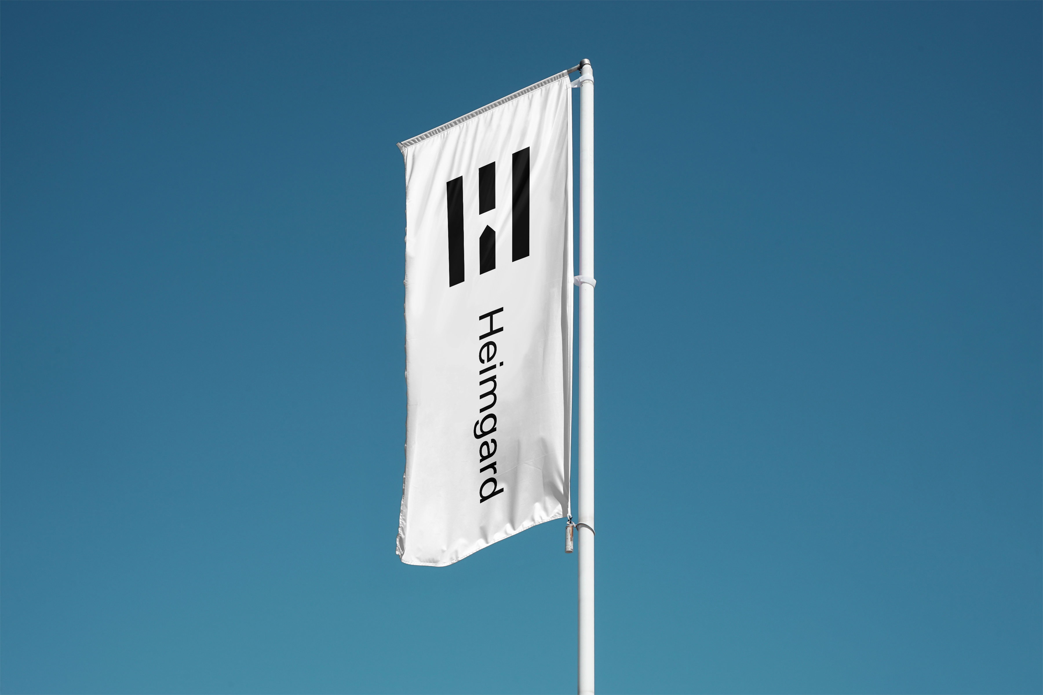 Flag Mockup2