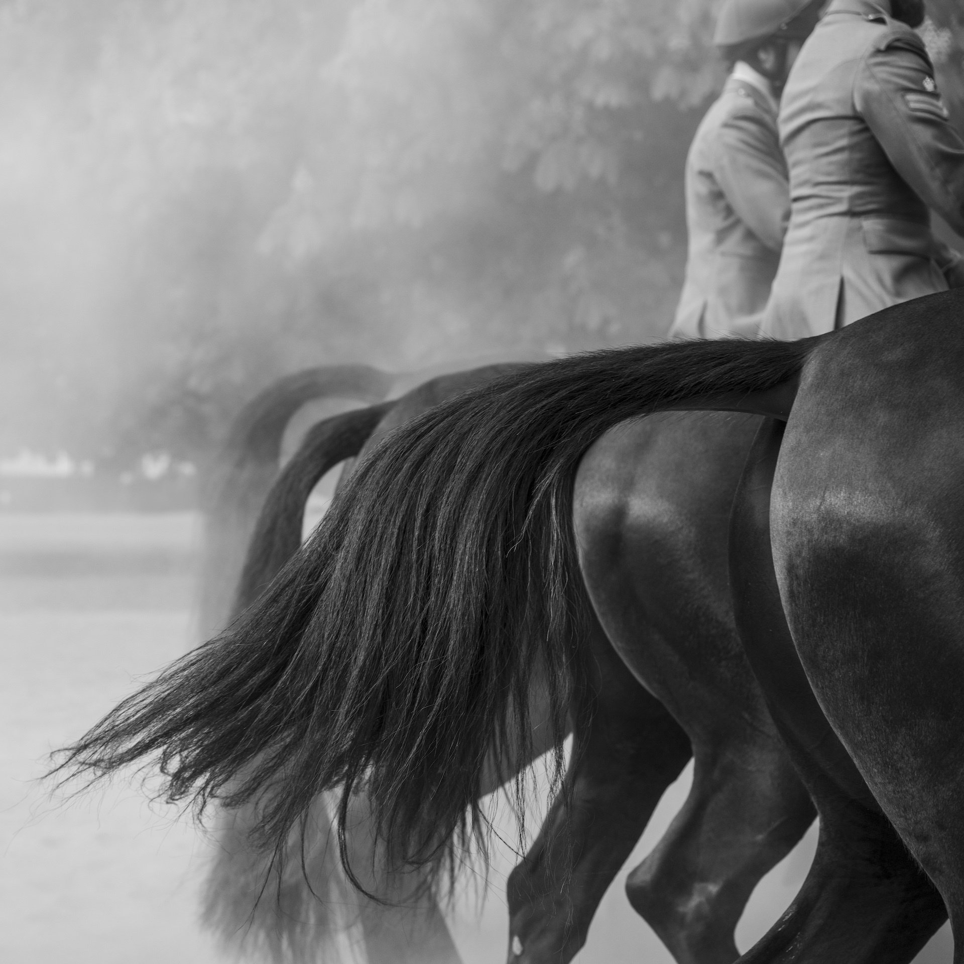 Formation Tail Flick Formation training on Rotten Row in Hyde Park carried out almost daily A precise and striking display of troopers and their horses in full public view