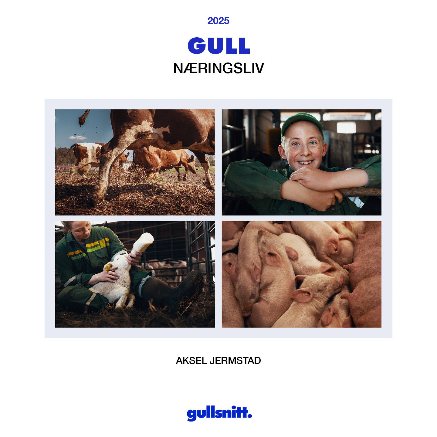 Gullsnitt25 Vinnere Næringsliv Gull Aksel Jermstad