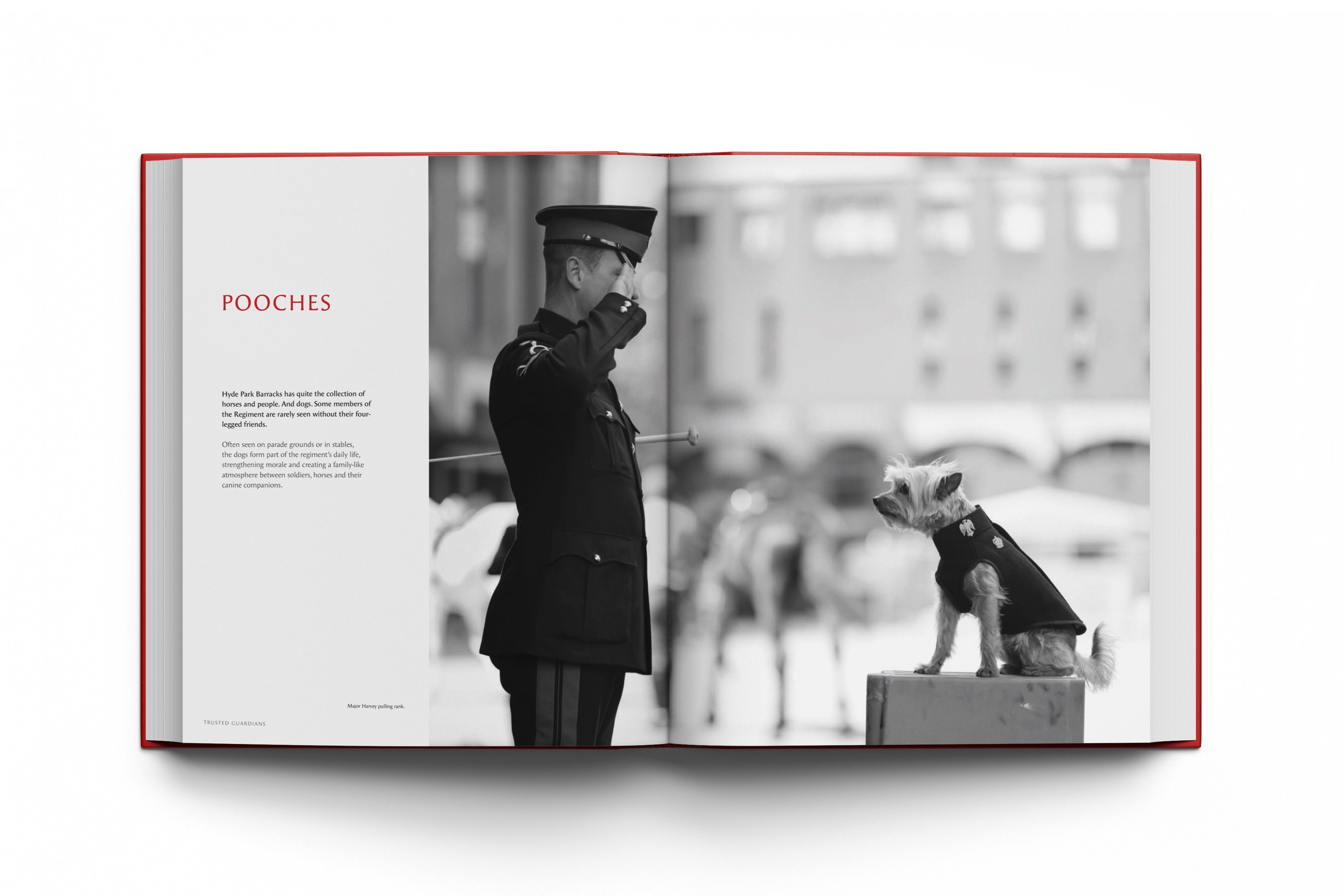 HC layouts V6 2 6 10 25 48