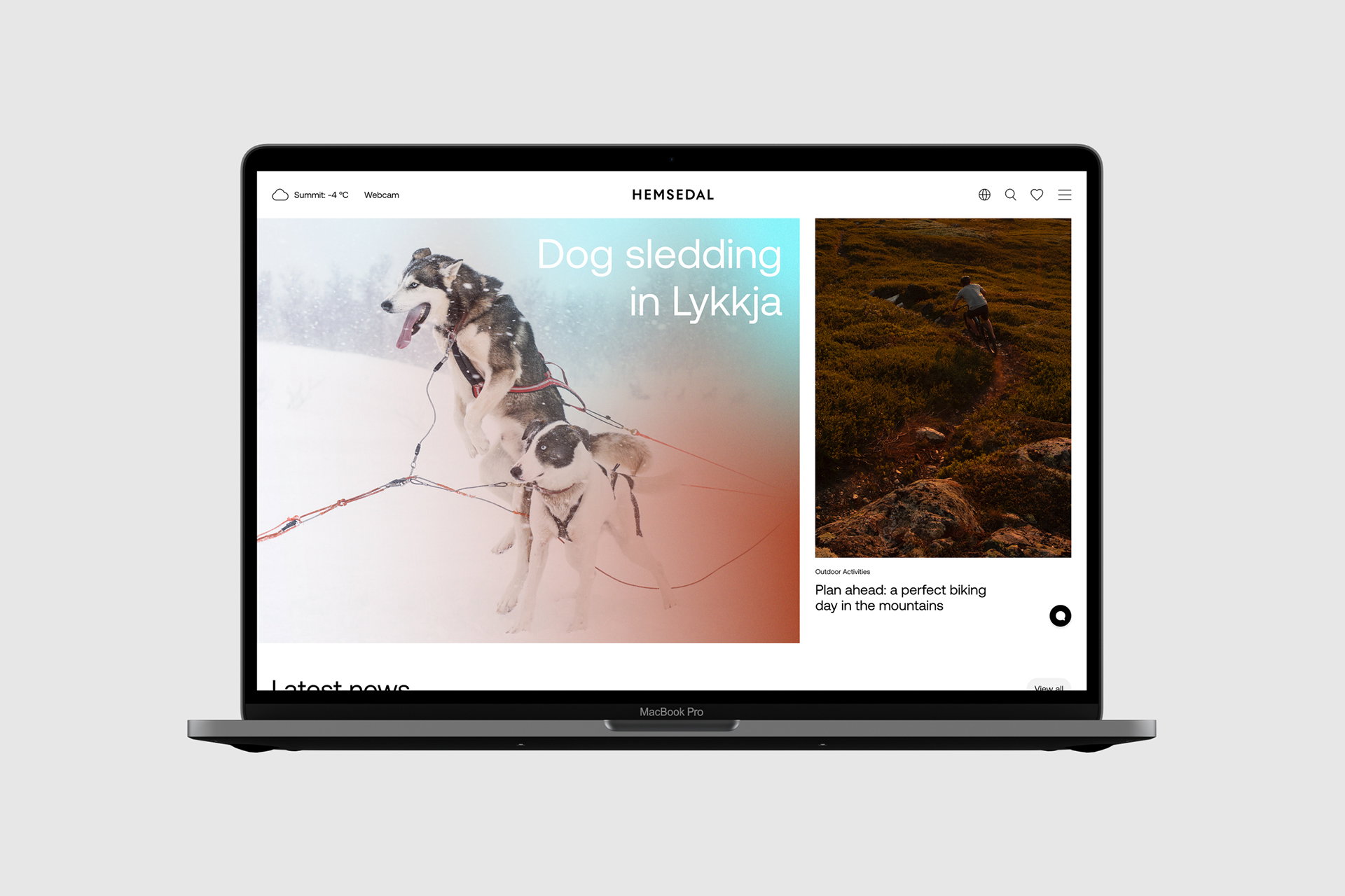 Hemsedal Website Flat01