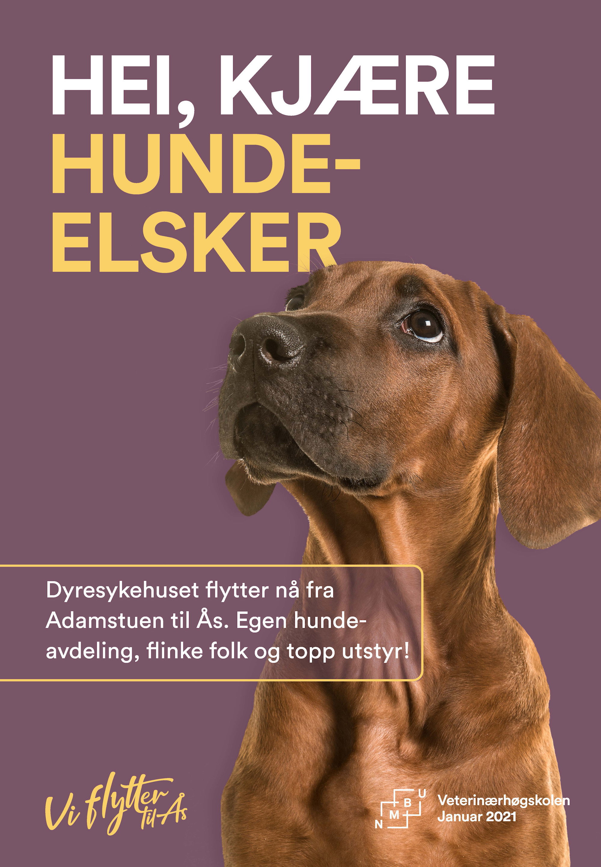 Hund NMBU