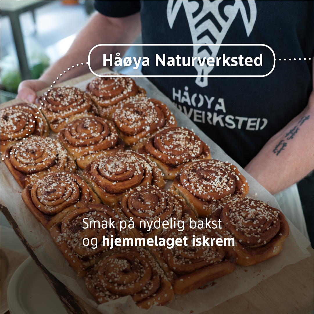 Håøya 3