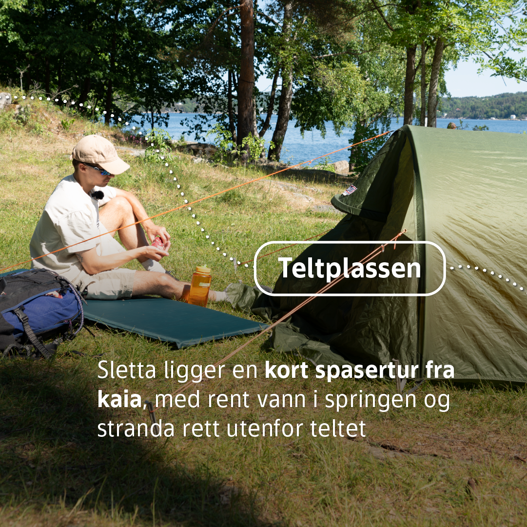 Håøya 4