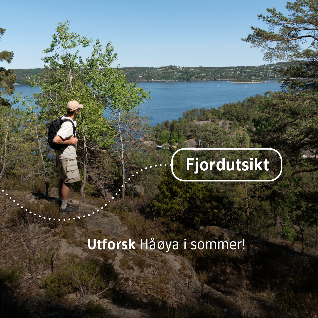 Håøya 5
