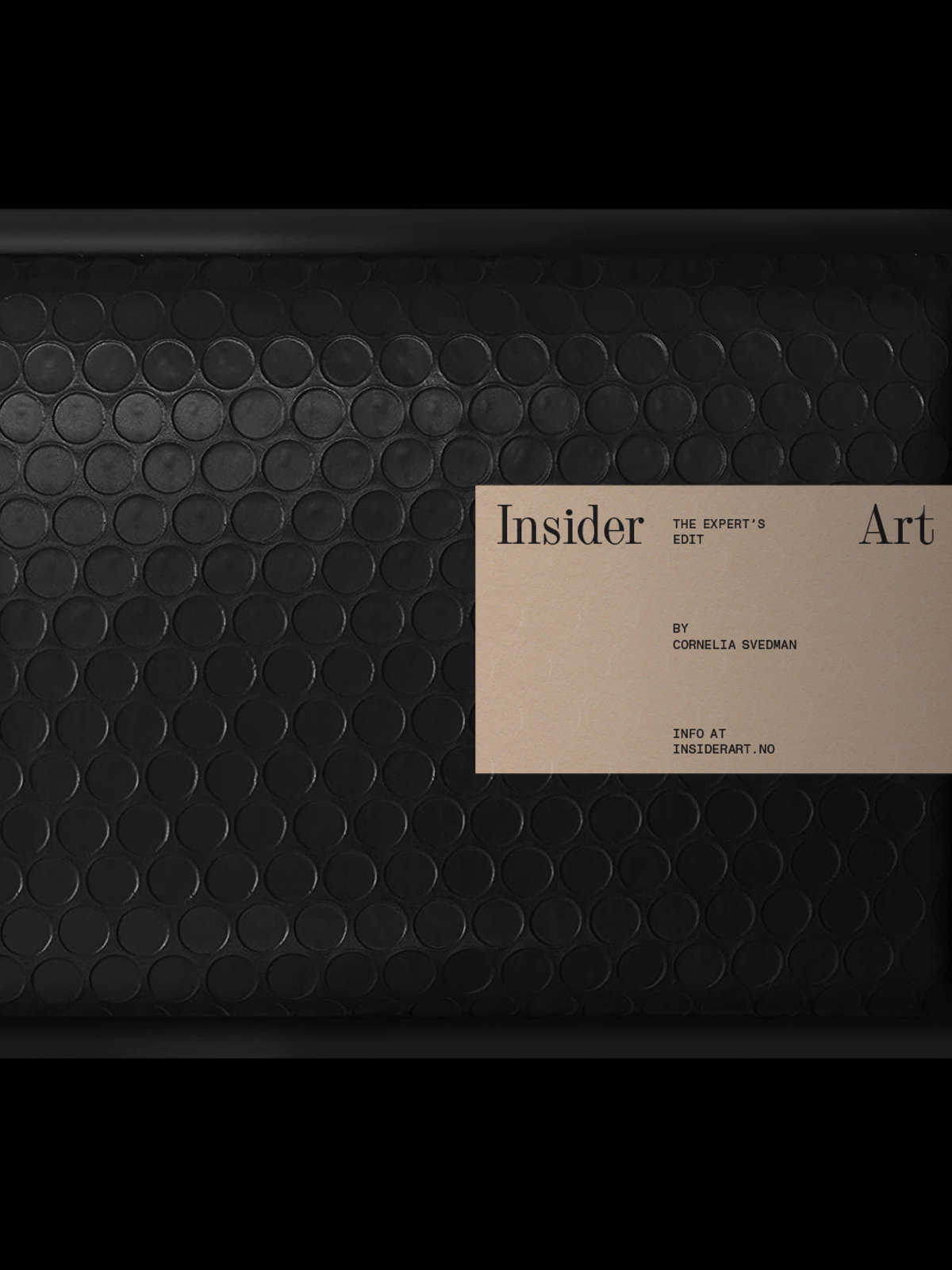 Insider Art Labeled Bubble Enveloppe