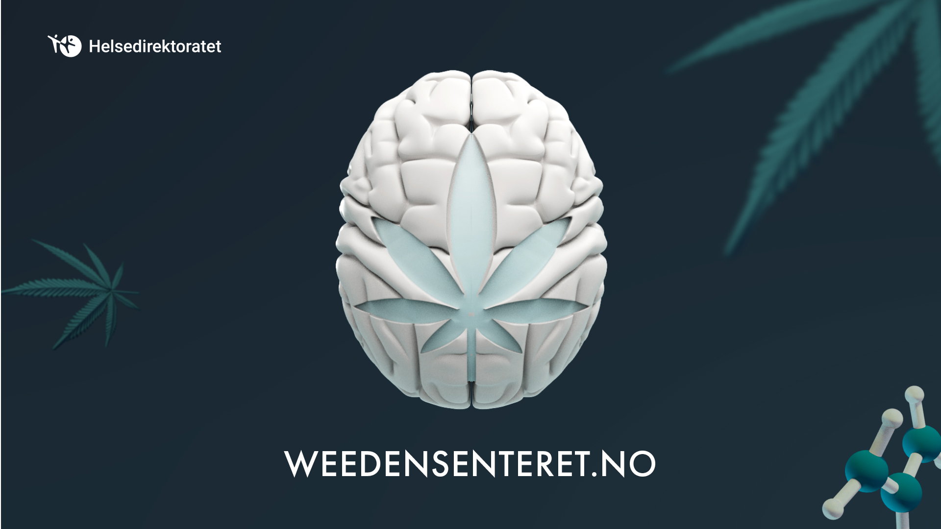 Kampanjebilde Weedensenteret