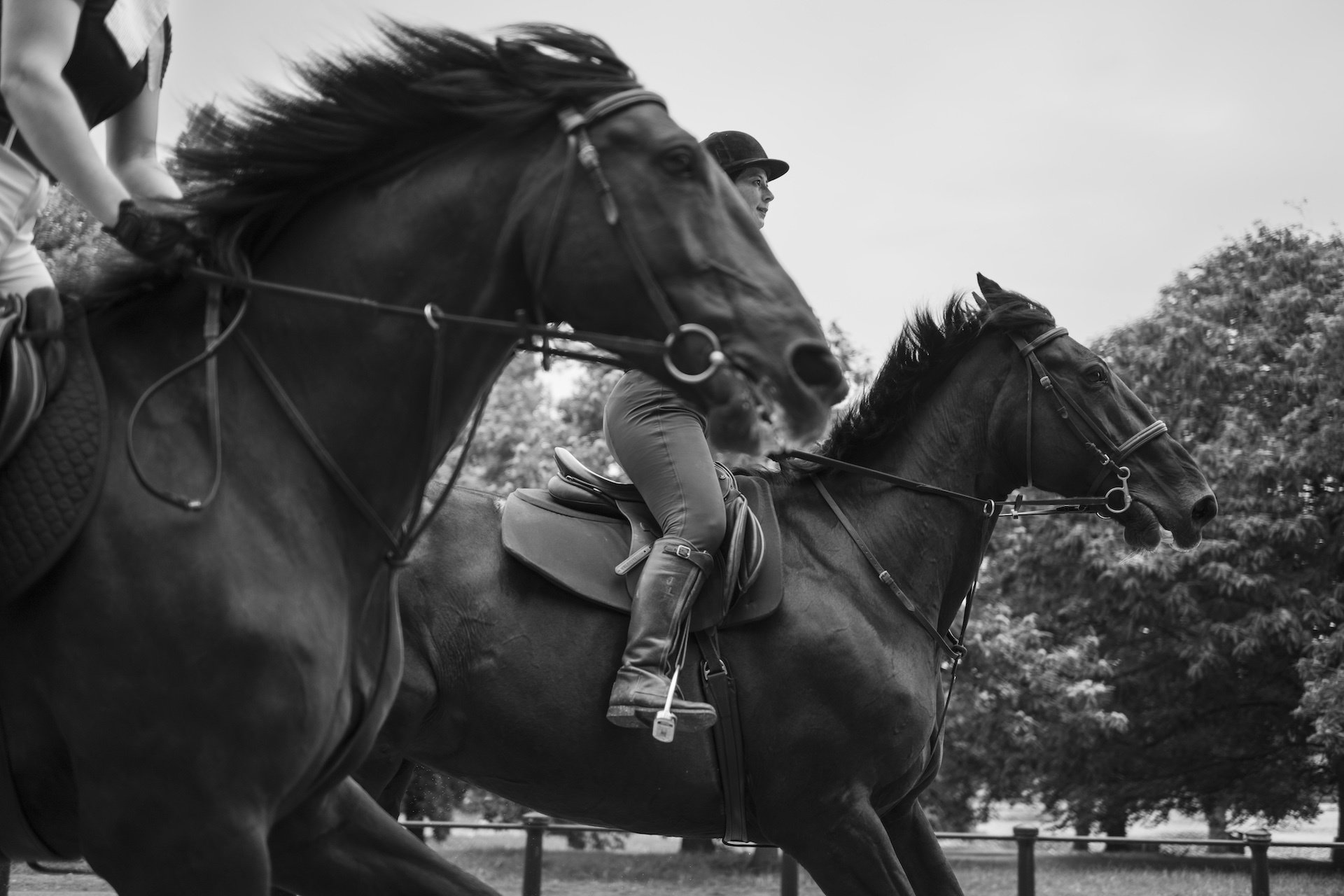 Keller Valentino on Vagabond left and Jenni Lajzerowicz on Opera right