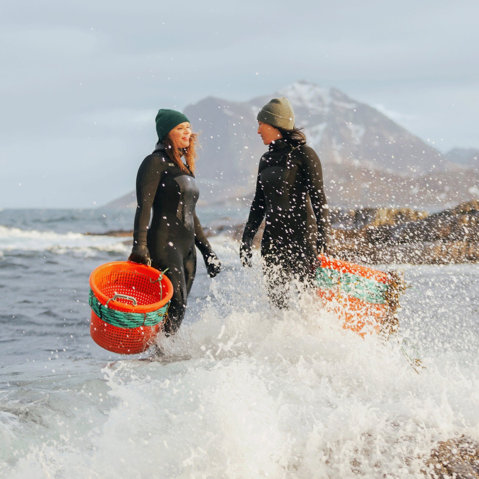 Lofoten Seaweed 3