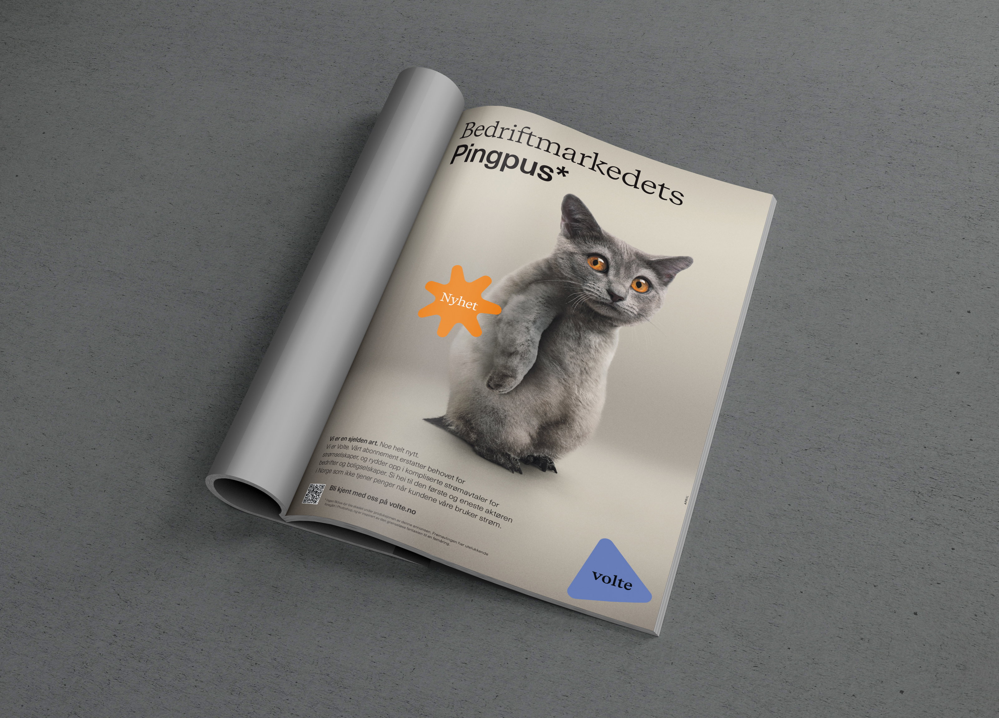 MAGAZINE PSD MOCKUP pingpus5