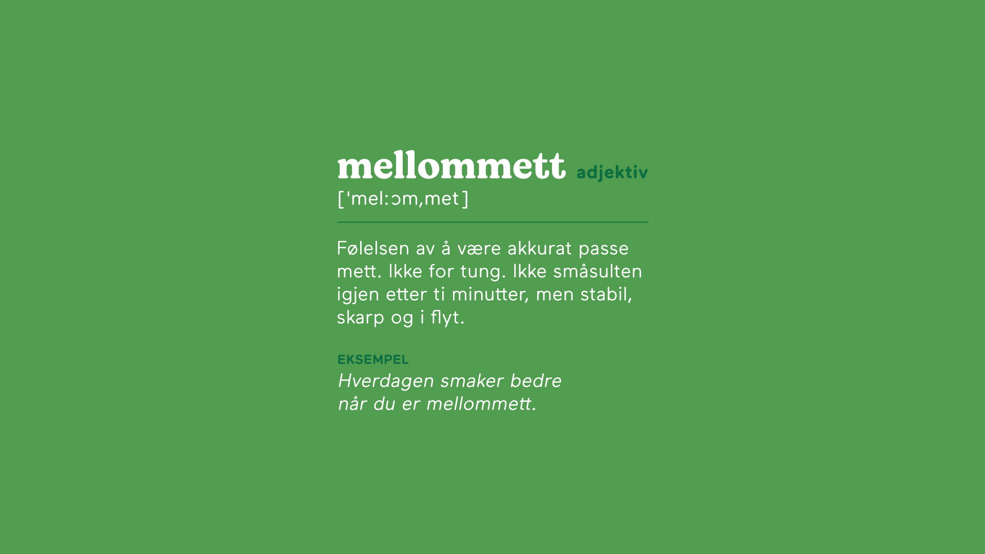 Mellommett ordbok 16x9 artikkel