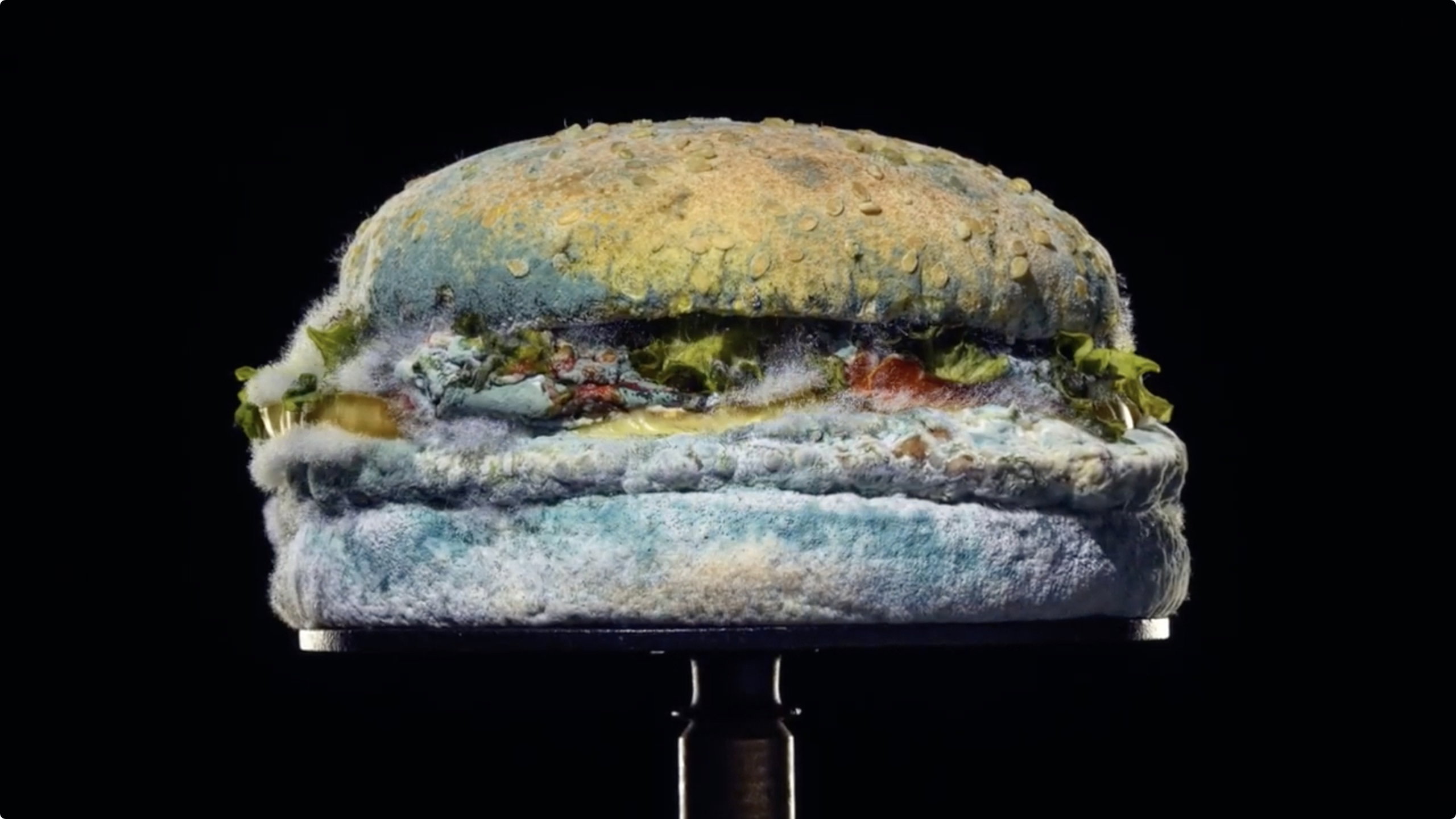 Moldy