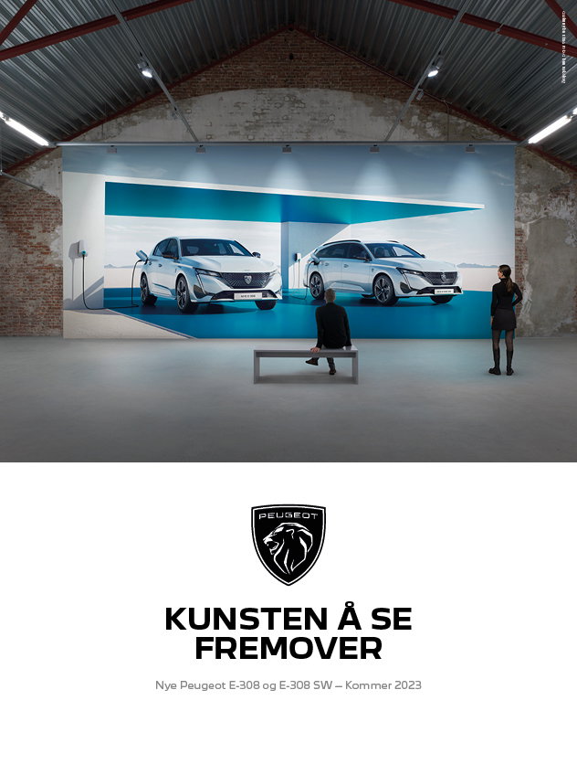 Peugeot Kunsten D2 2