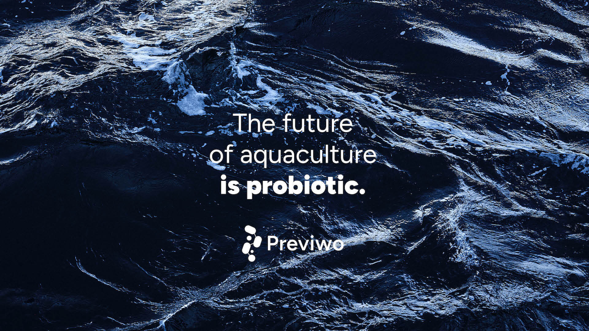 Previwo presse 2304262