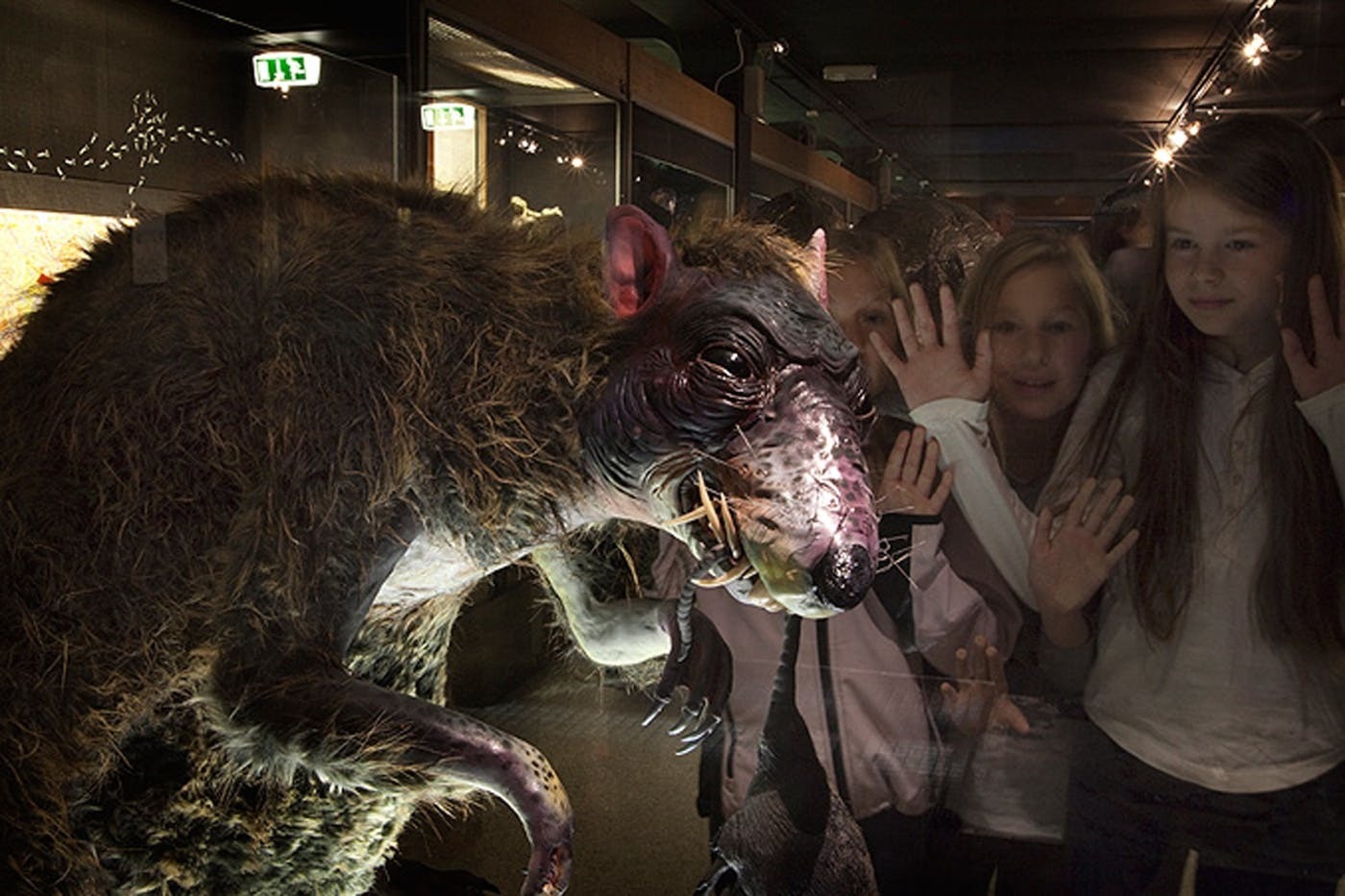 Rotte