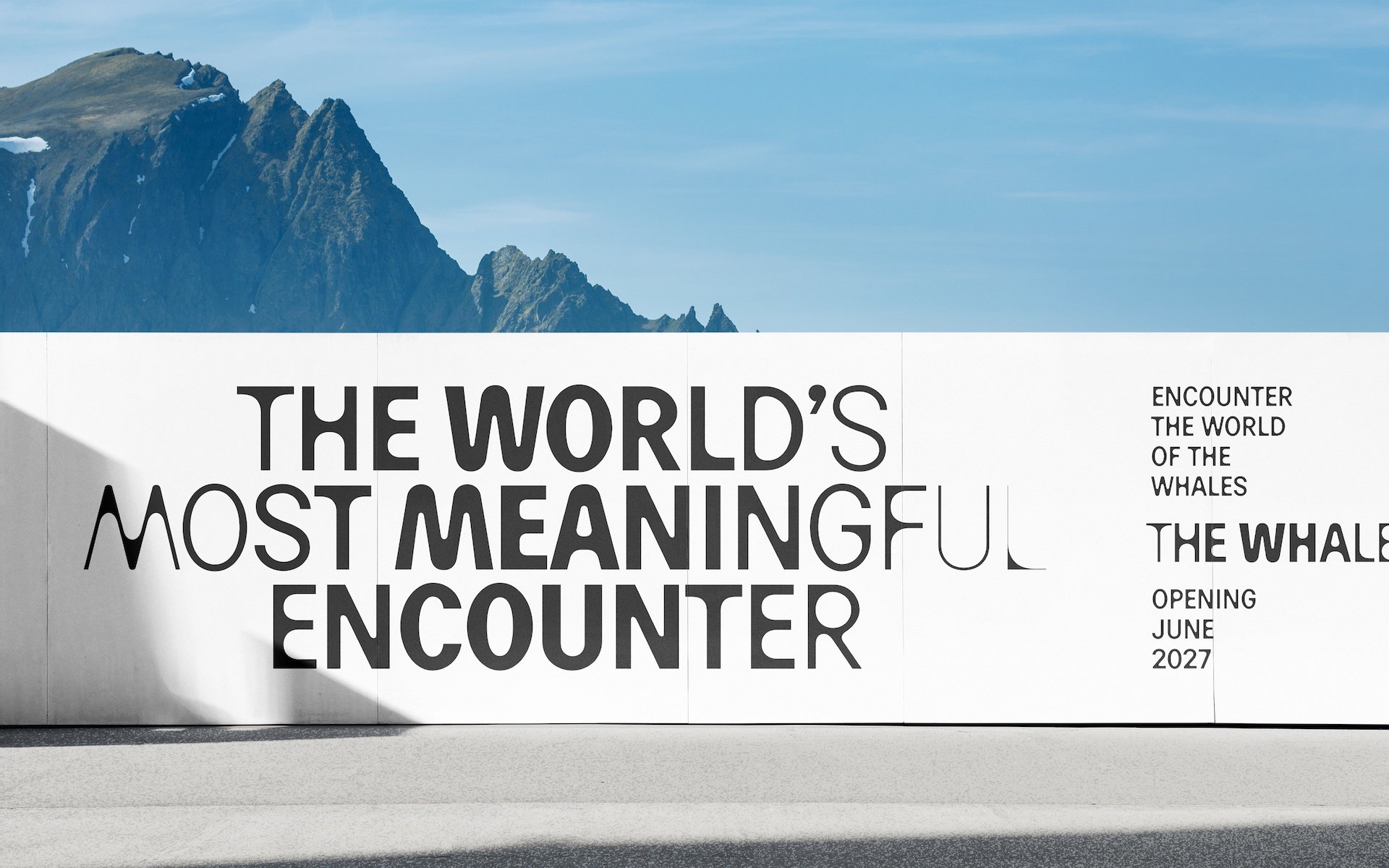 The Whale Schnitler 003