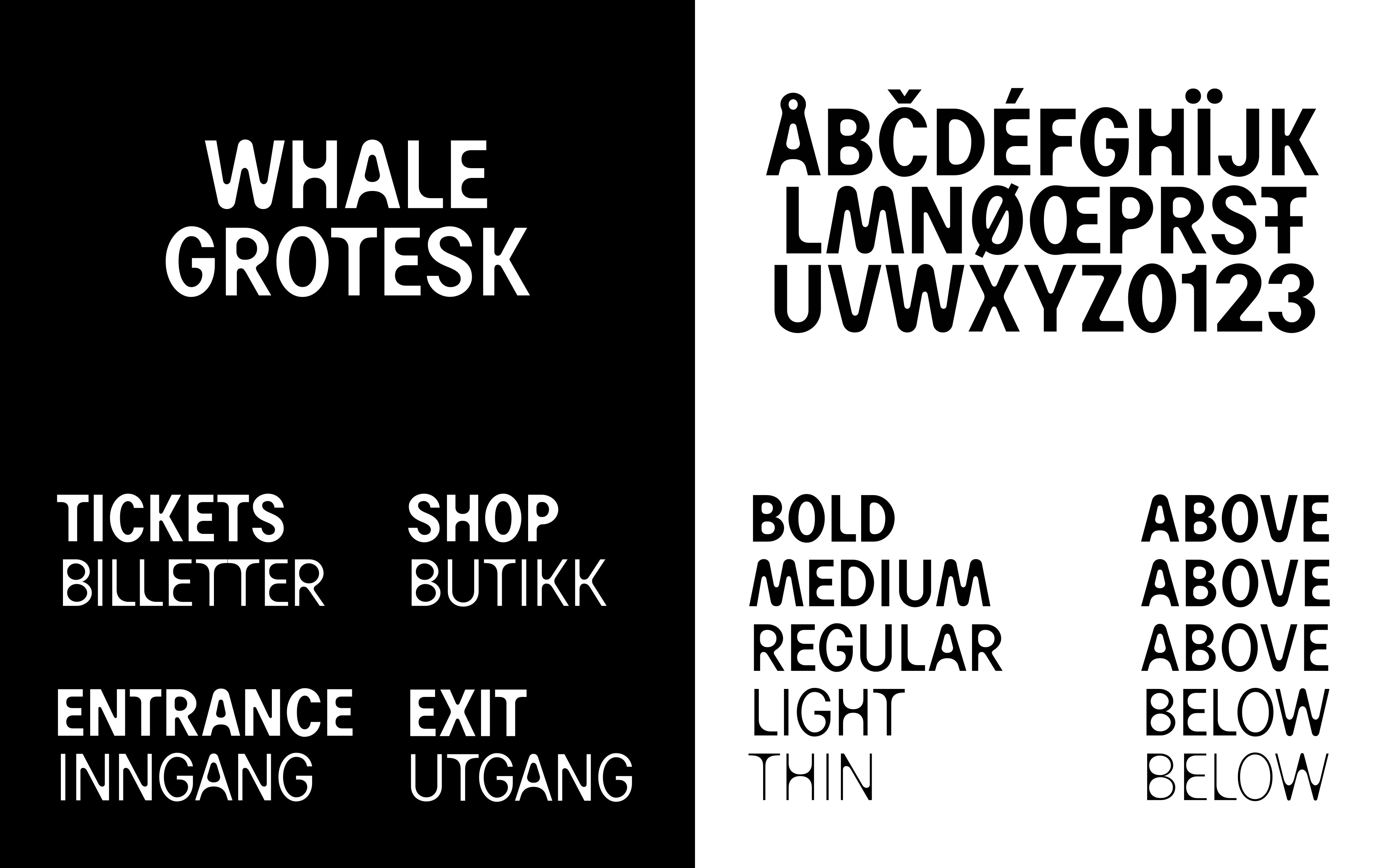 The Whale Schnitler 005