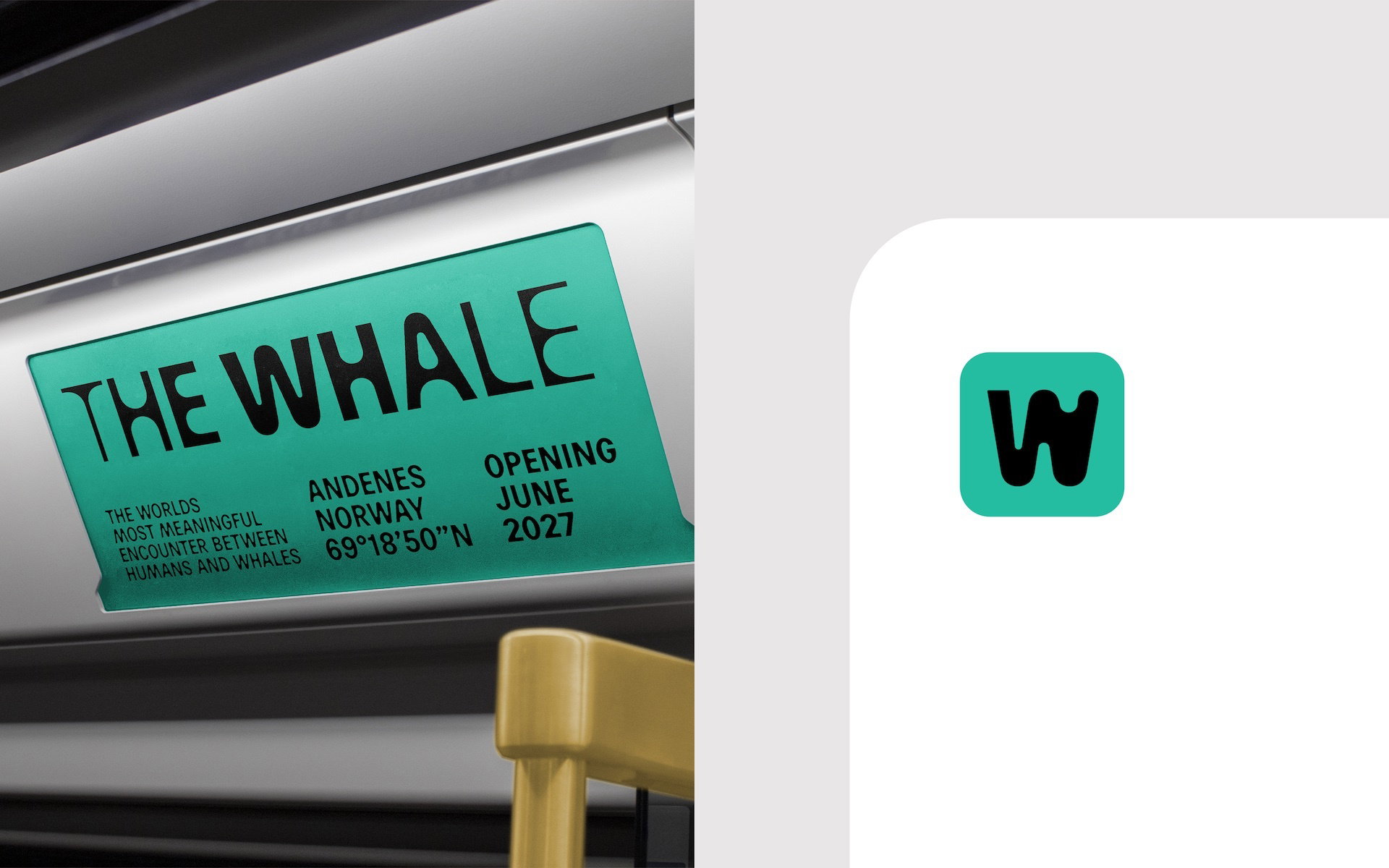 The Whale Schnitler 009