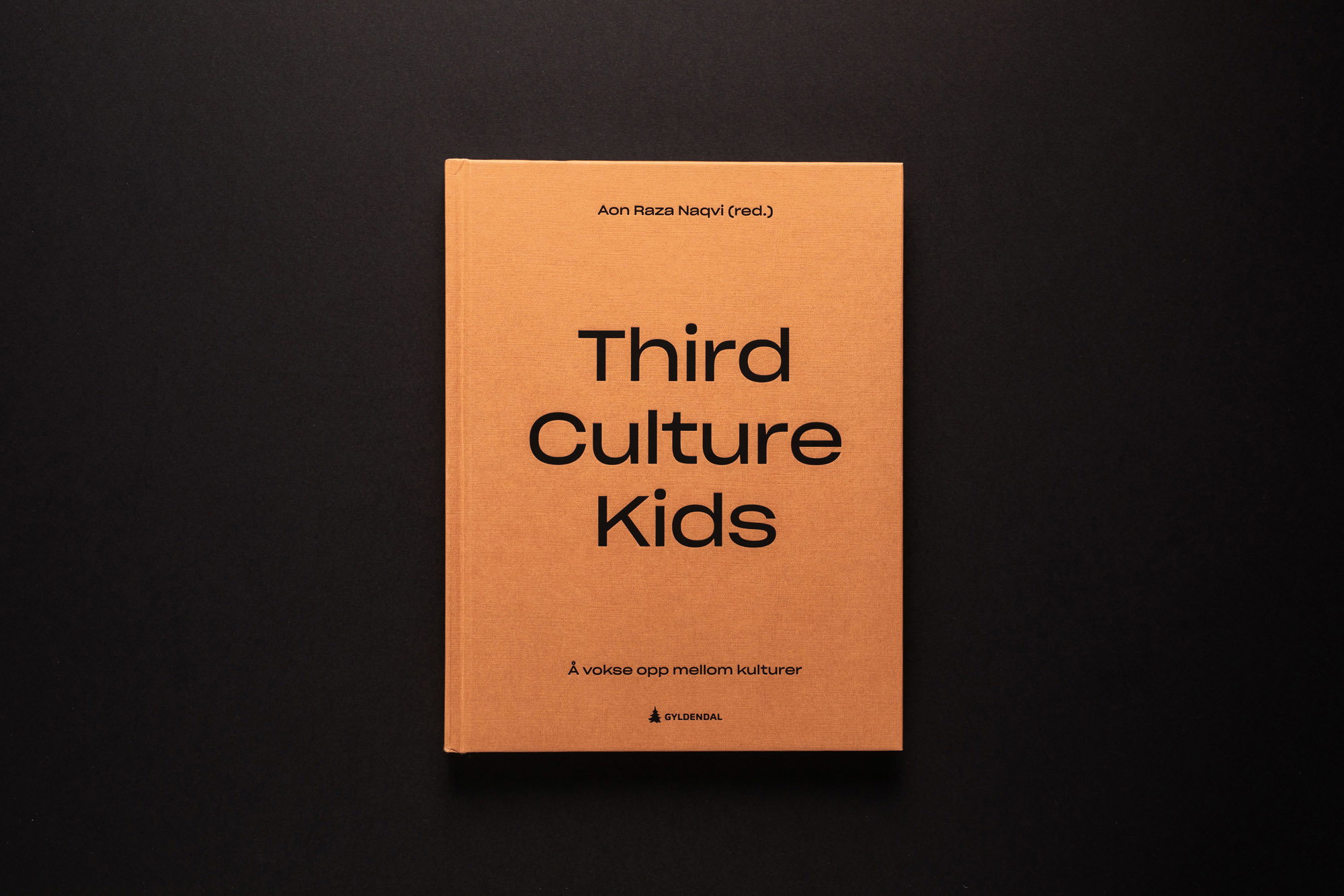 Third Culture Kids