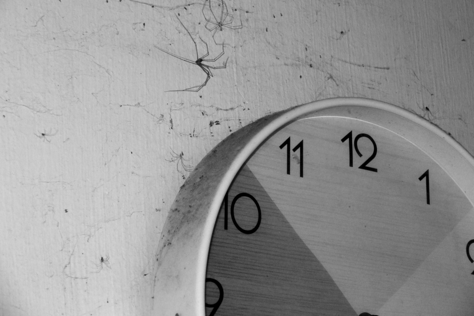 Timepriser