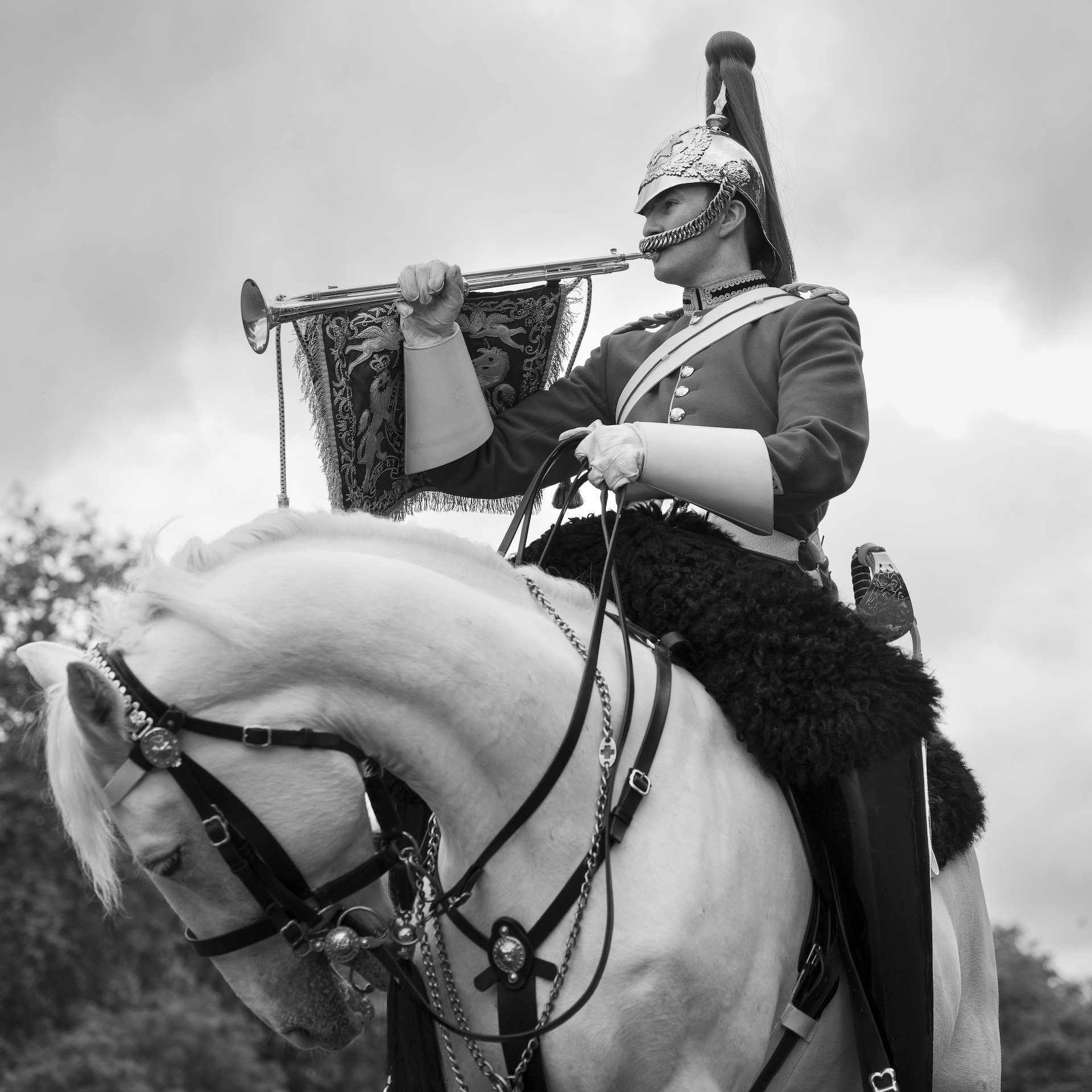 Trumpeters 2024 The trumpeters are the only troopers mounted on grey horses They sound the signals that relay commands from the commanding officer