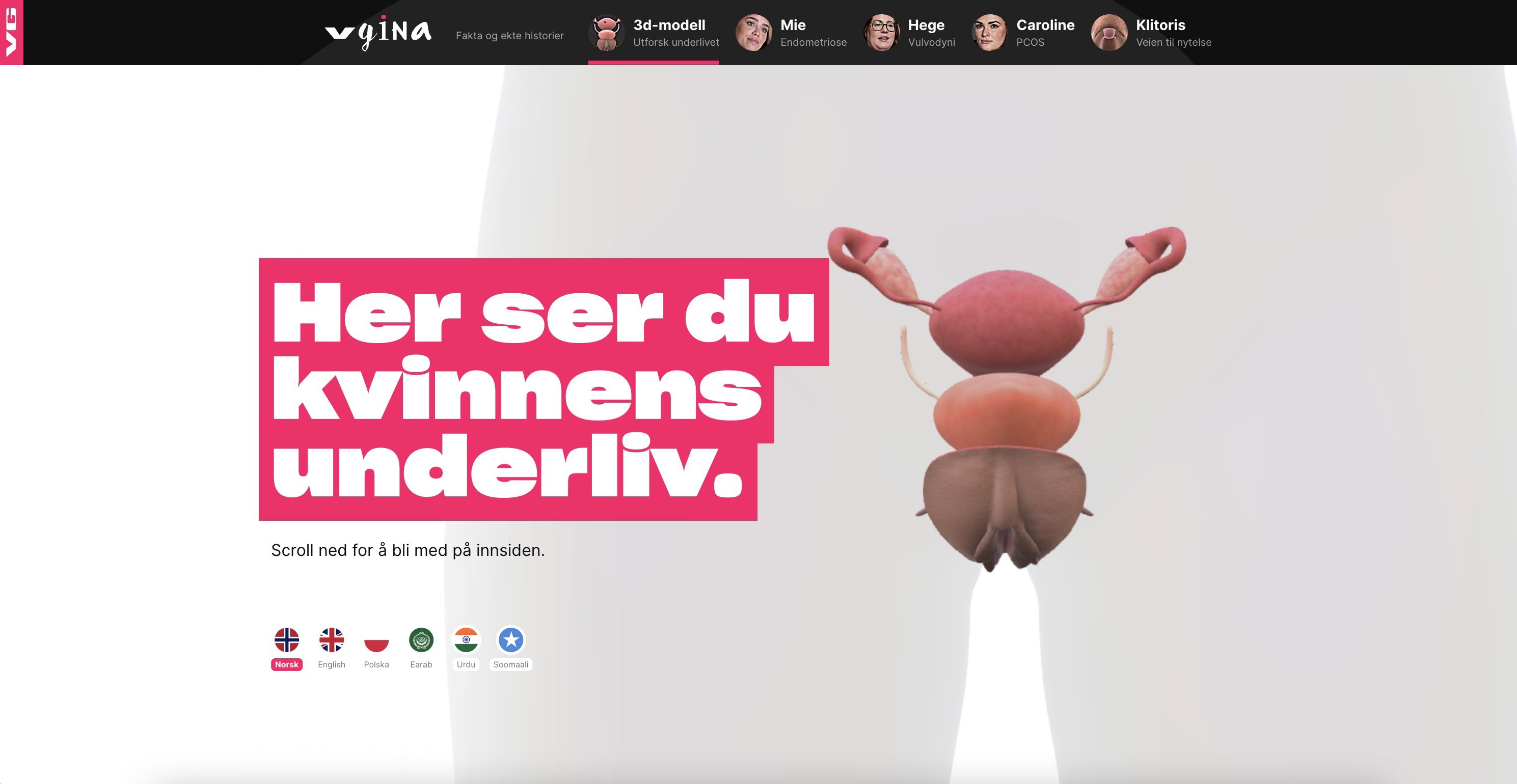 VG satser på kvinnehelse lanserer 3 D modell av underlivet