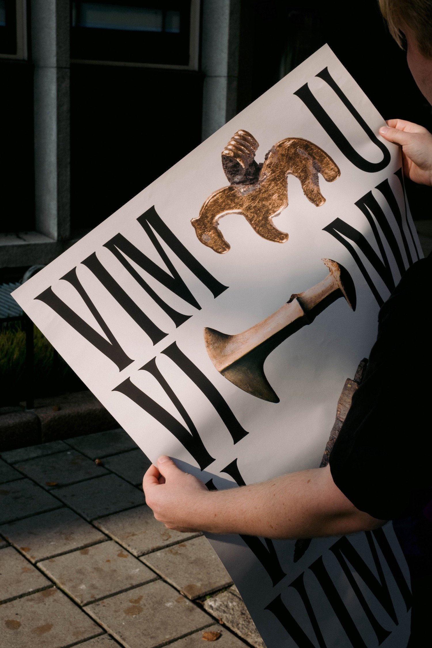 VIMU Karusell 1 Plakatx