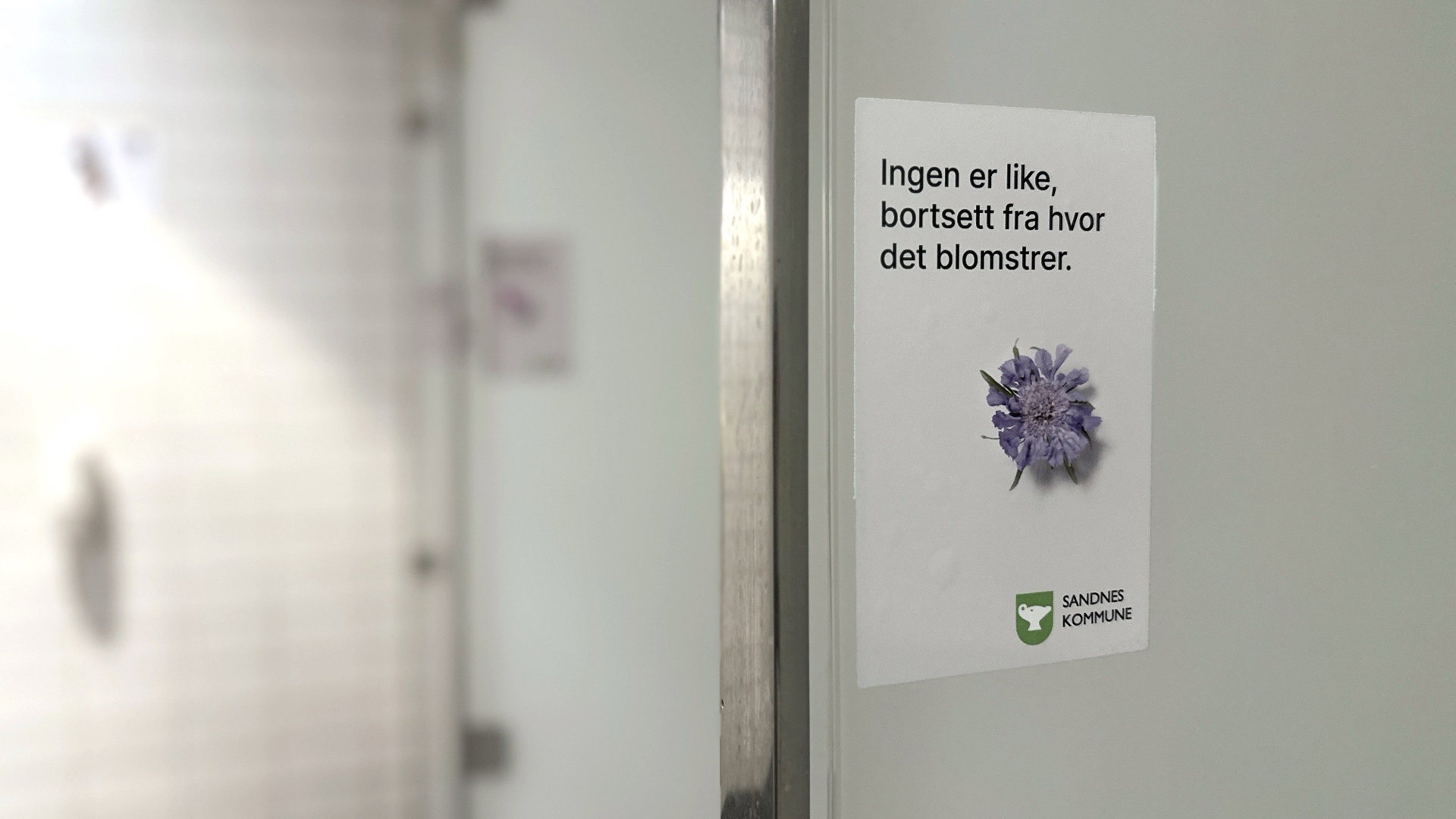 Vask deg der det blomstrer KF 014