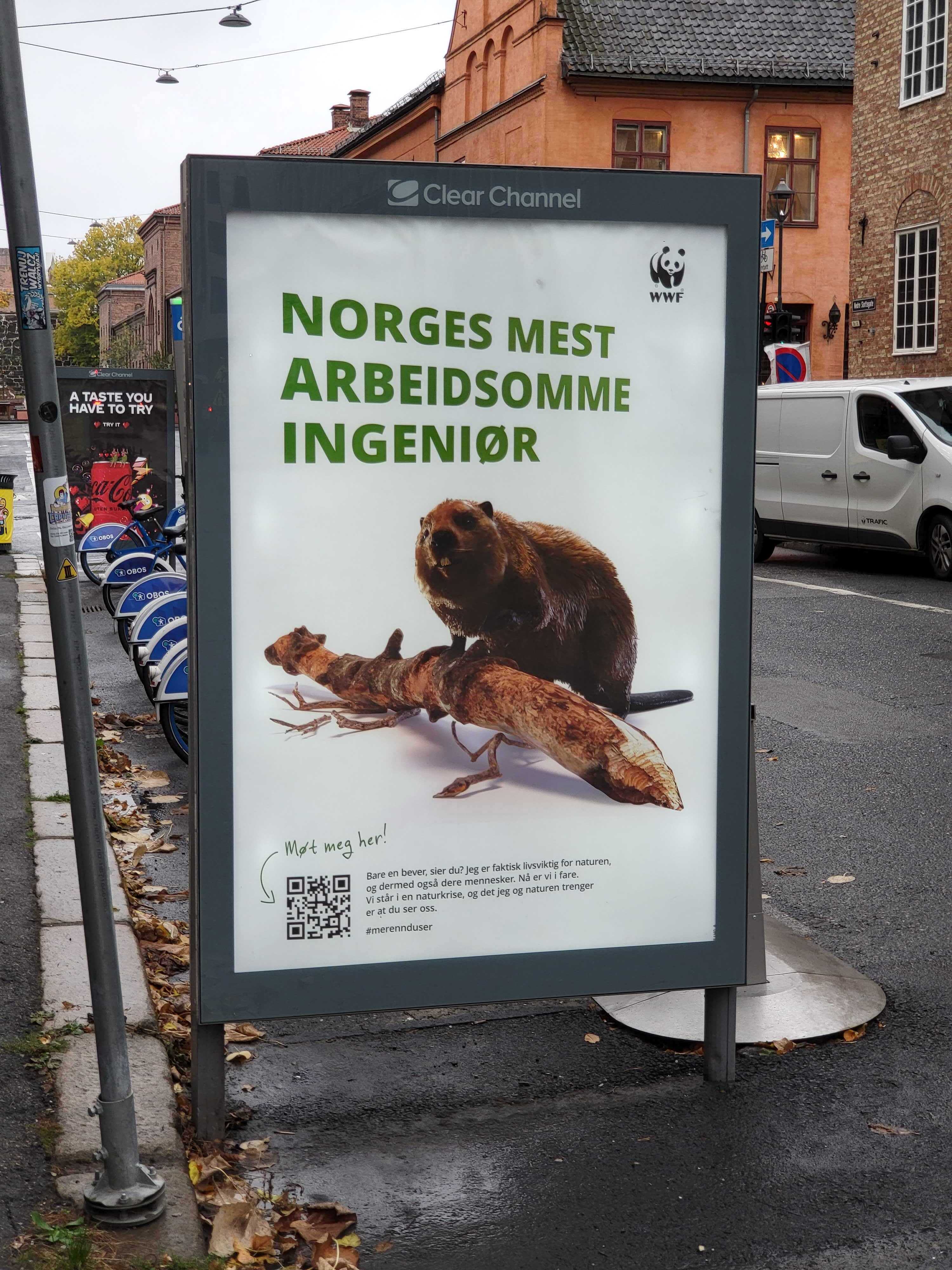 WWF Adshel Bever