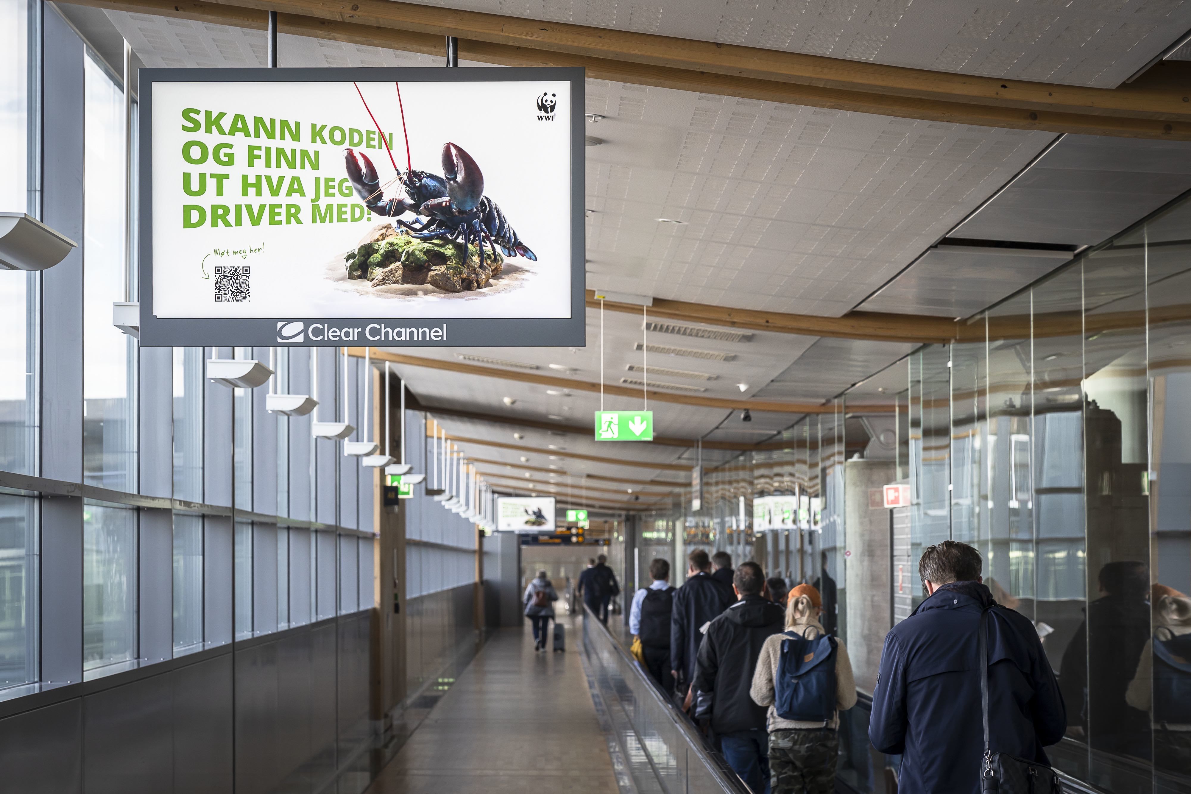 WWF Gardermoen hummerx