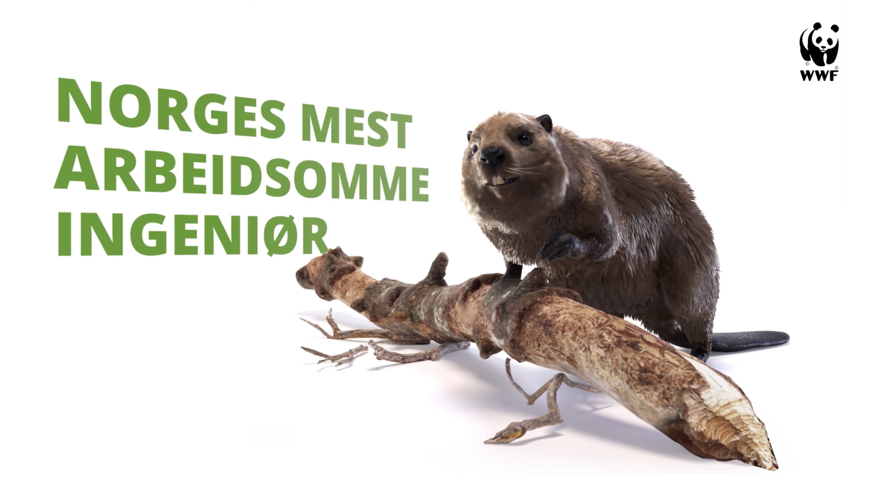 WWF So Me Bever