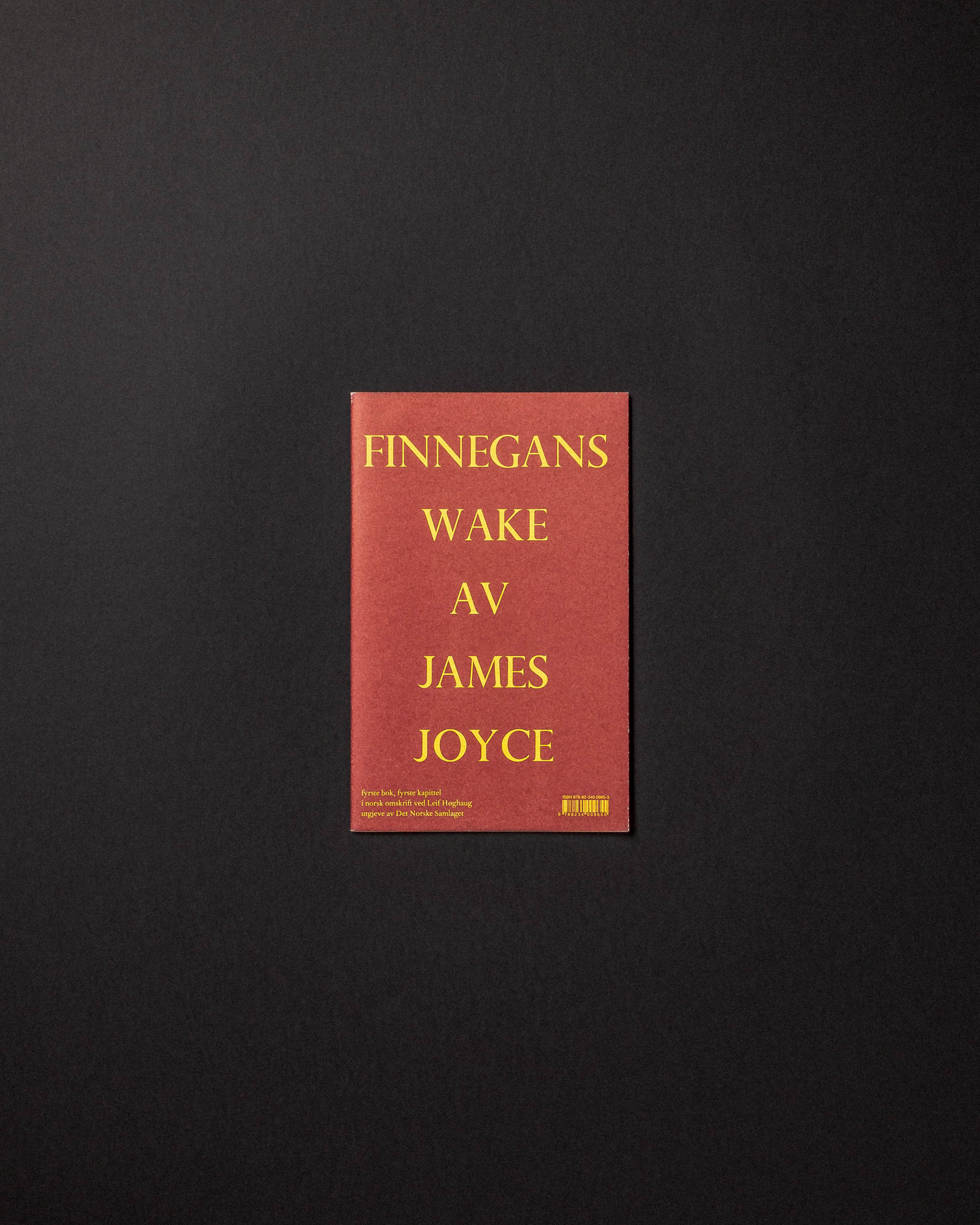 Aaaa 2525 finnegans wake foto jørn aagaard