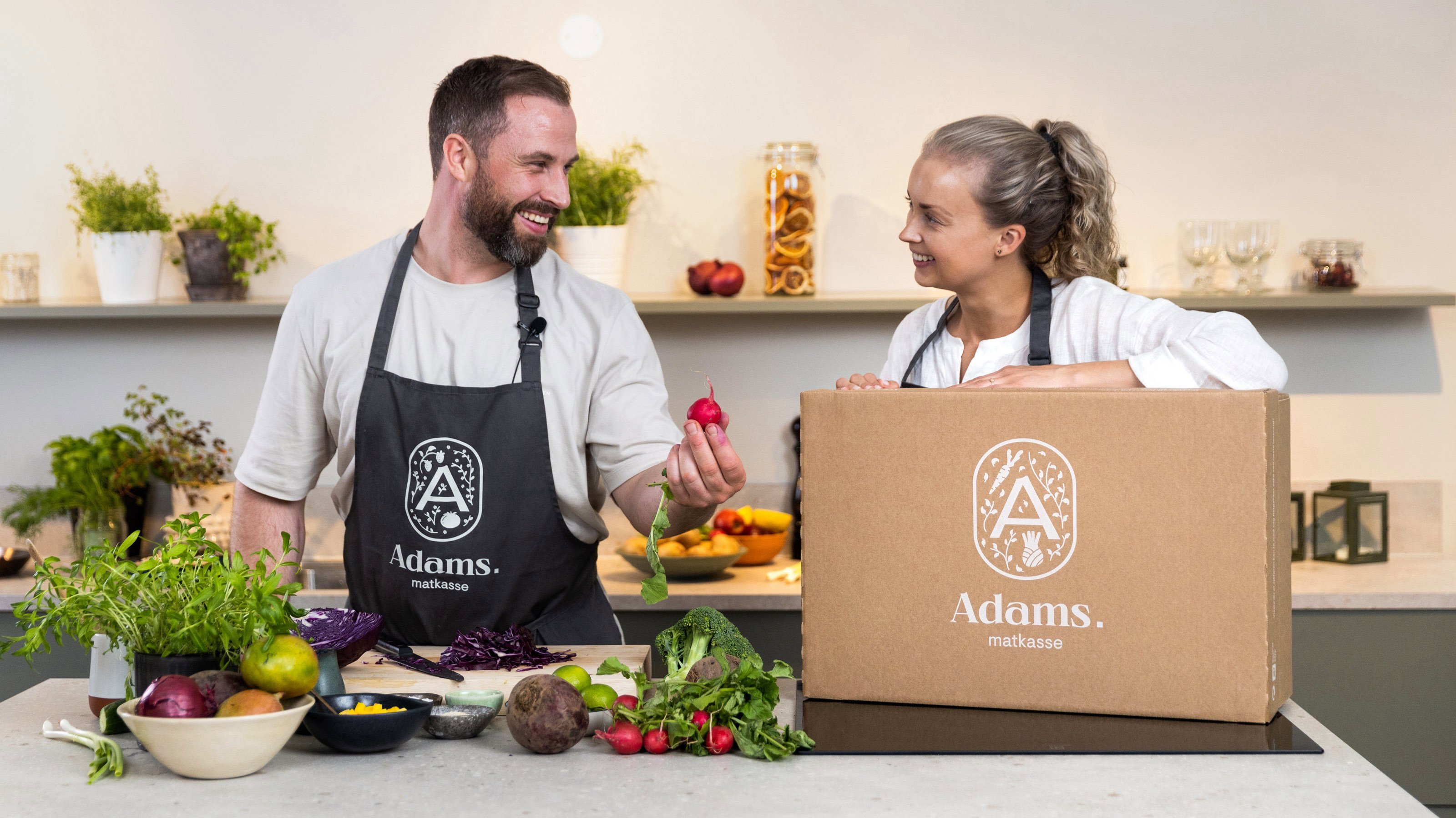 Adams kokkerx