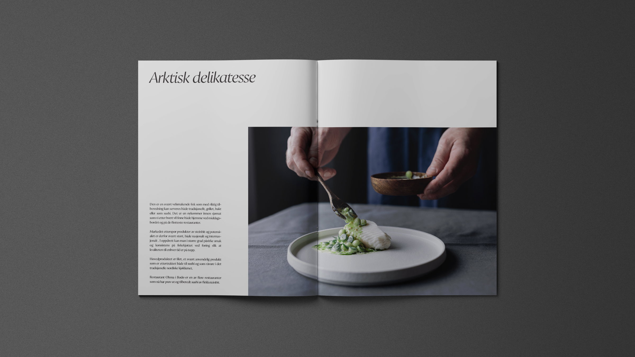 Arcticas mockups brosjyre