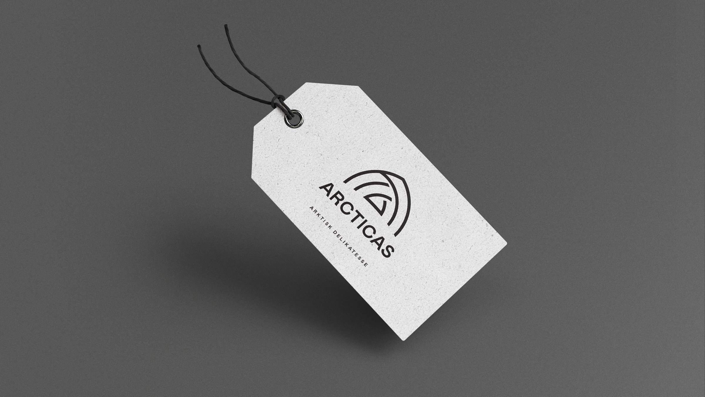 Arcticas mockups tag