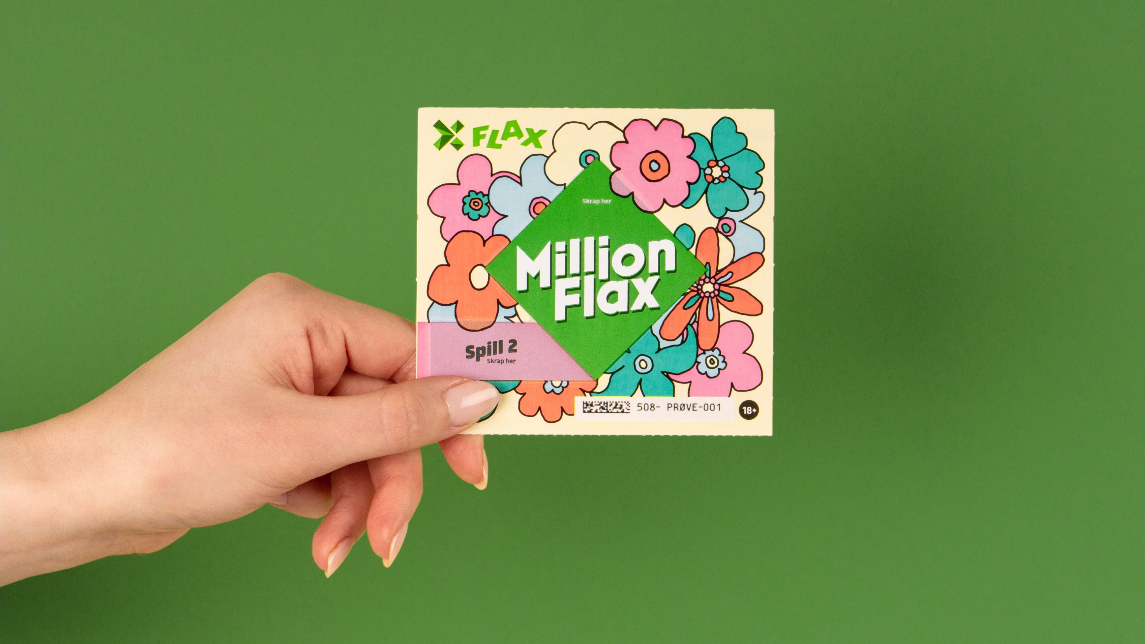 Flax case 07